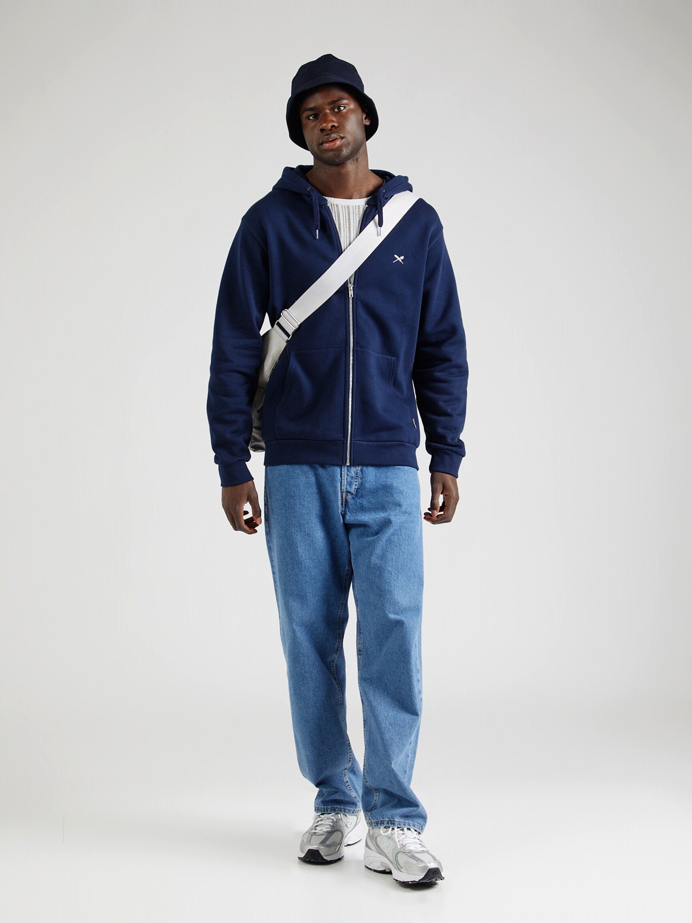 iriedaily Sweatjacke Mini Flag 2 (1-tlg)