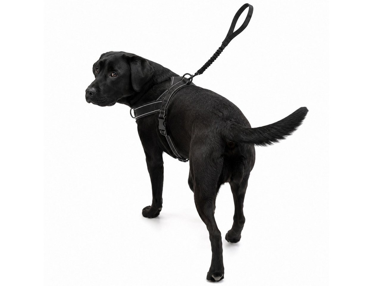 Luckice Hundeweste Hundegeschirr, Anti-Zug Geschirr, Brustgeschirr, Training, Zugentlastendes Design, Weiche Polsterung