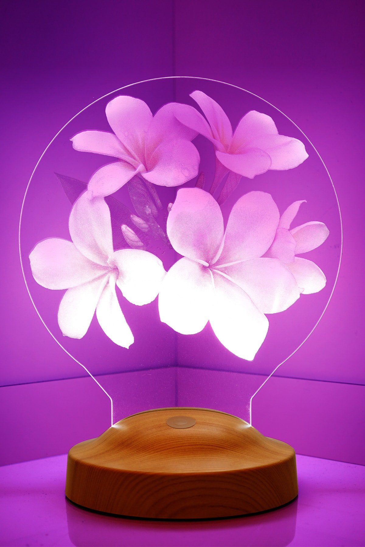 Geschenk Led Mutter, Nachttischlampe LED Farben, integriert, 3D Lampe Plumeria LED LED Lampe 6 für Geschenkelampe fest mehrfarbige