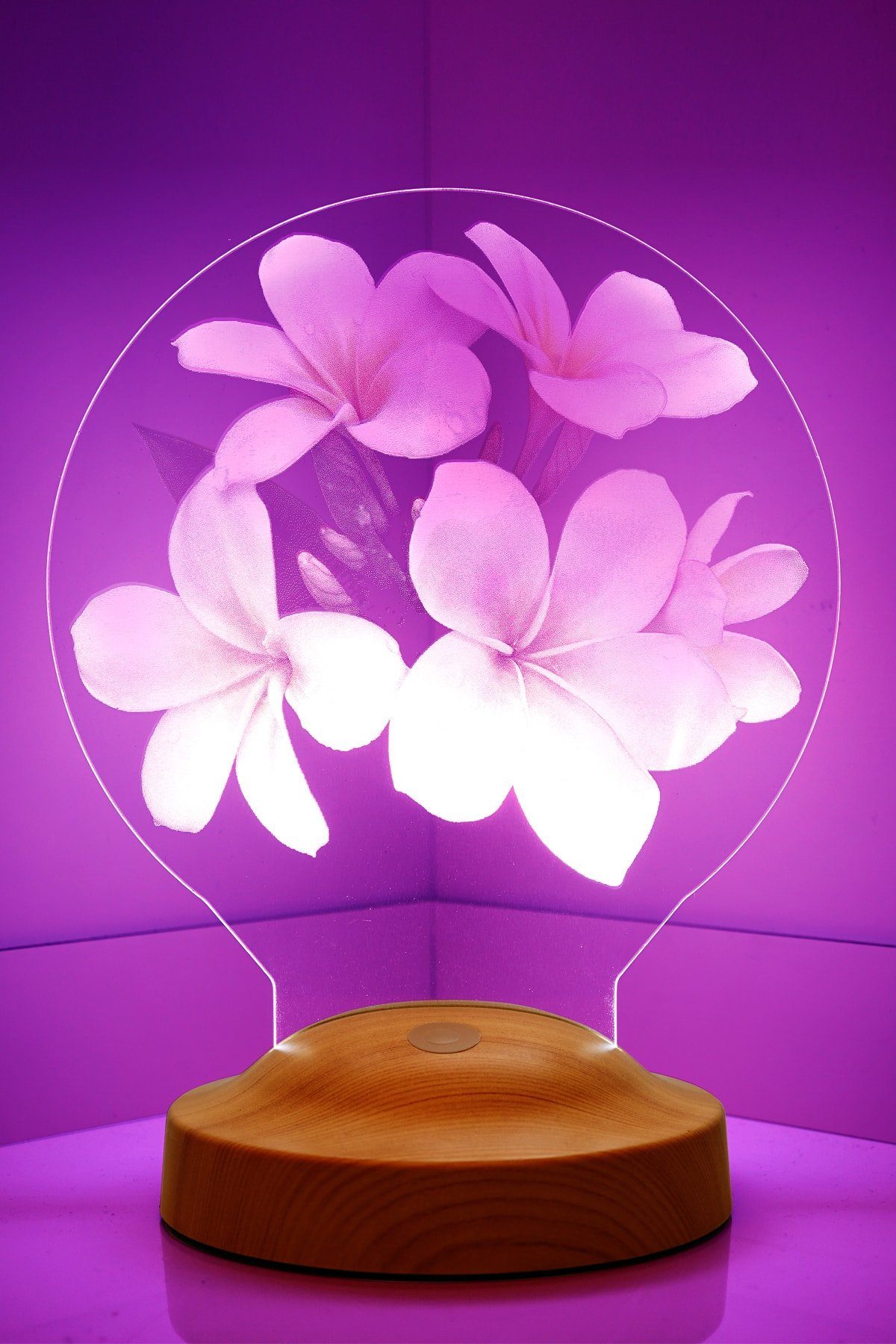 Geschenkelampe LED Nachttischlampe Plumeria Blumen 3D mehrfarbige Nachttischlampe Muttertag, Valentinstag, Leuchte 7 Farben fest integriert, Valentinstagsgeschenk für Freundin, Kollegin, Ehefrau, Partnerin