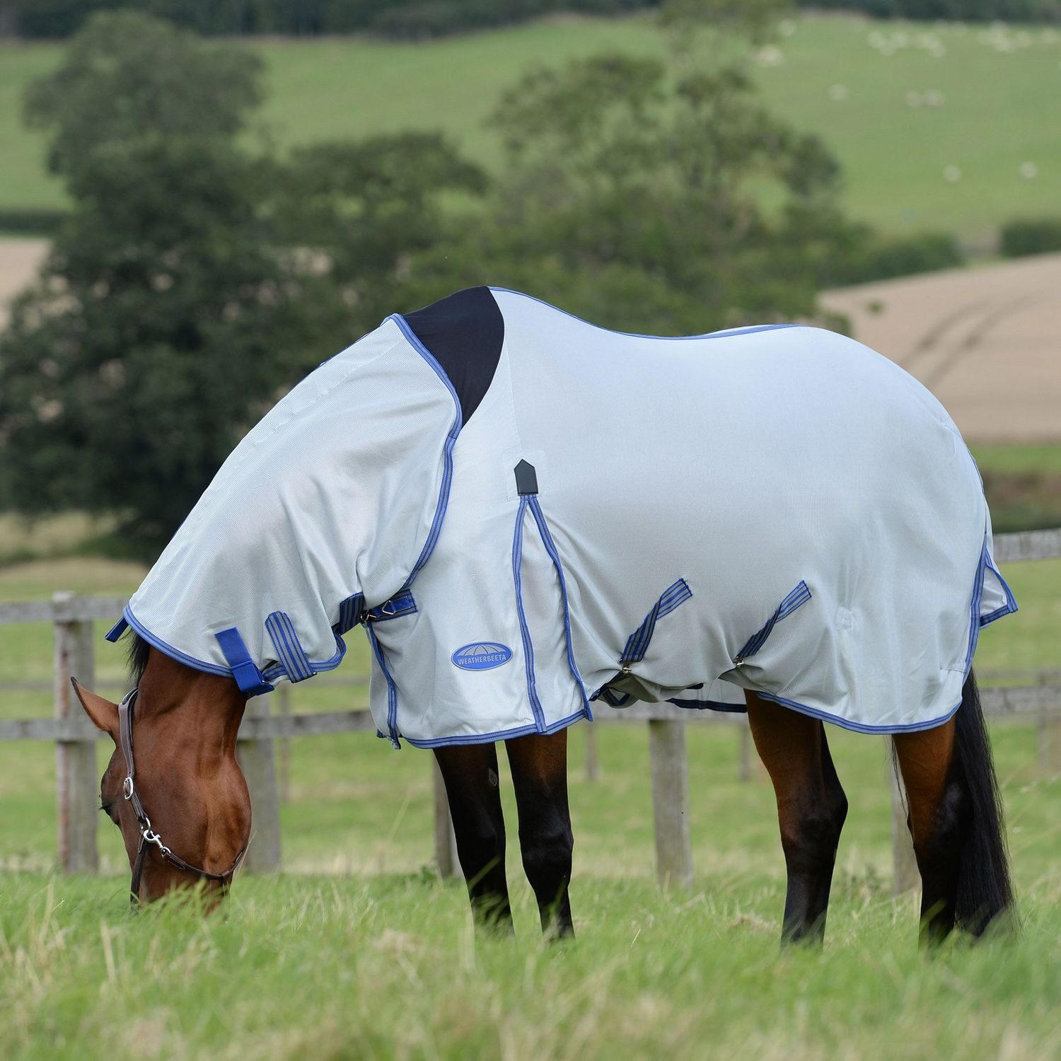 WeatherBeeta Pferde-Fliegendecke Weatherbeeta Comfitec Airflow II Combo Neck