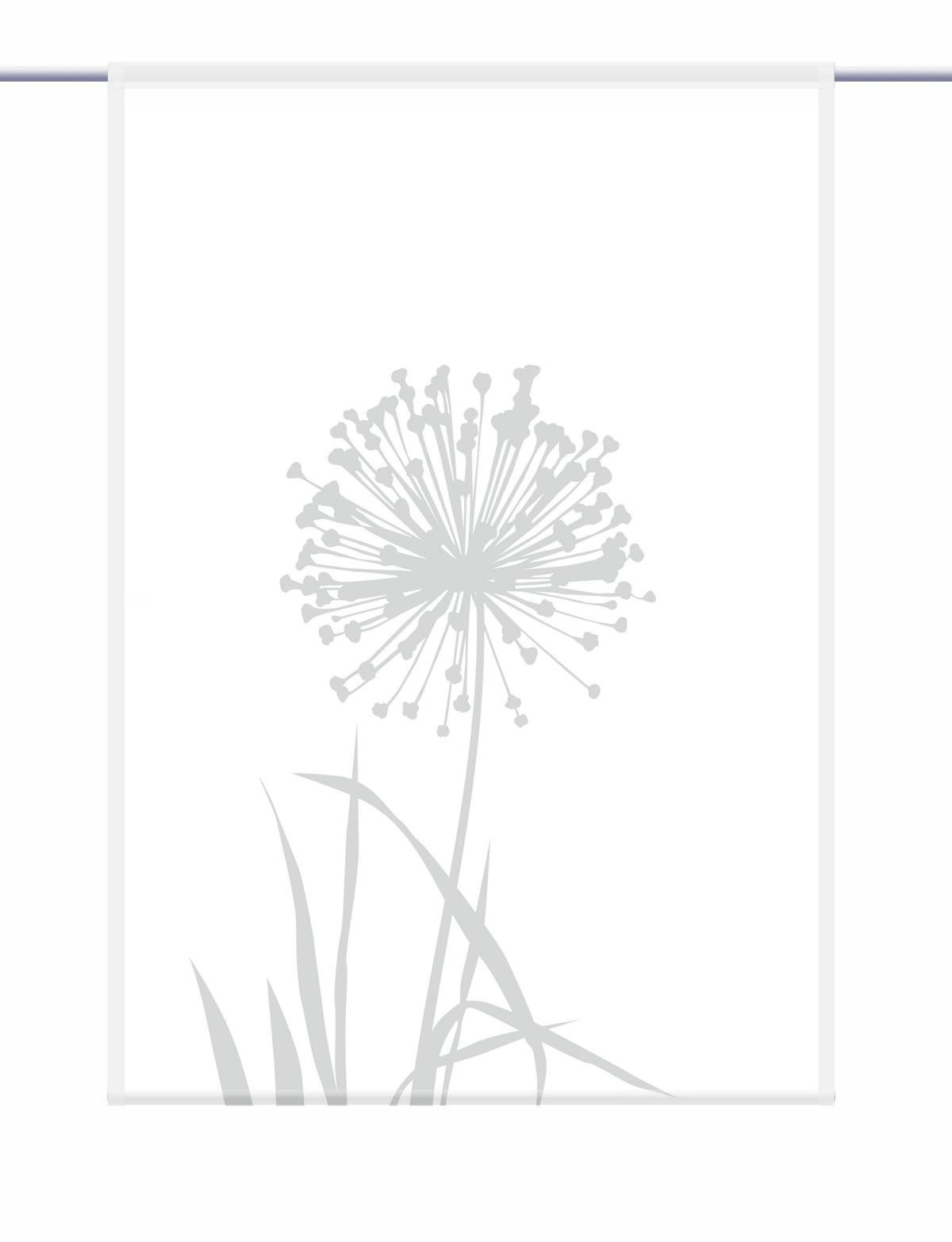 gardinen-for-life Scheibengardine Allium 24 - blanco günstig online kaufen