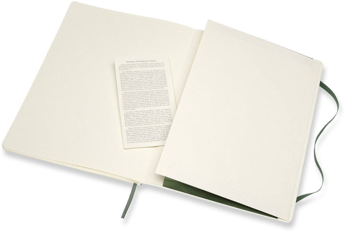 Notizbuch Notizbuch XL 19x25cm liniert Softcover myrtengrün