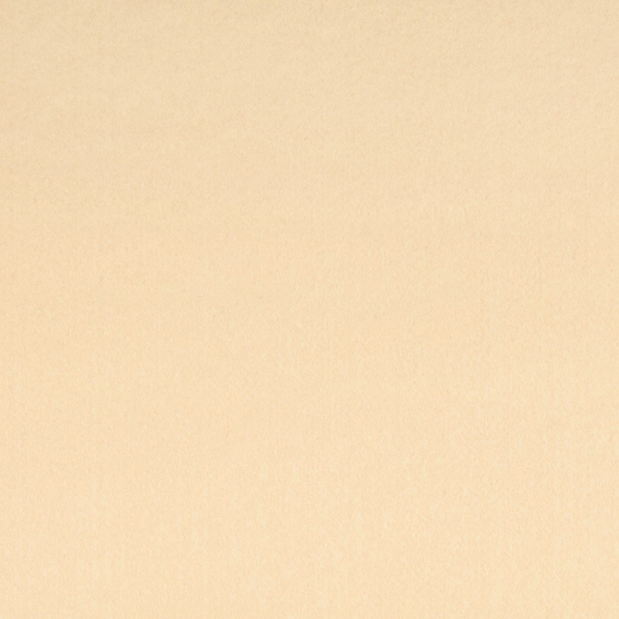 maDDma Stoff Bastelfilz Meterware 4mm Filzstoff 670g/m² 45cm Dekofilz Farbwahl, hellbeige