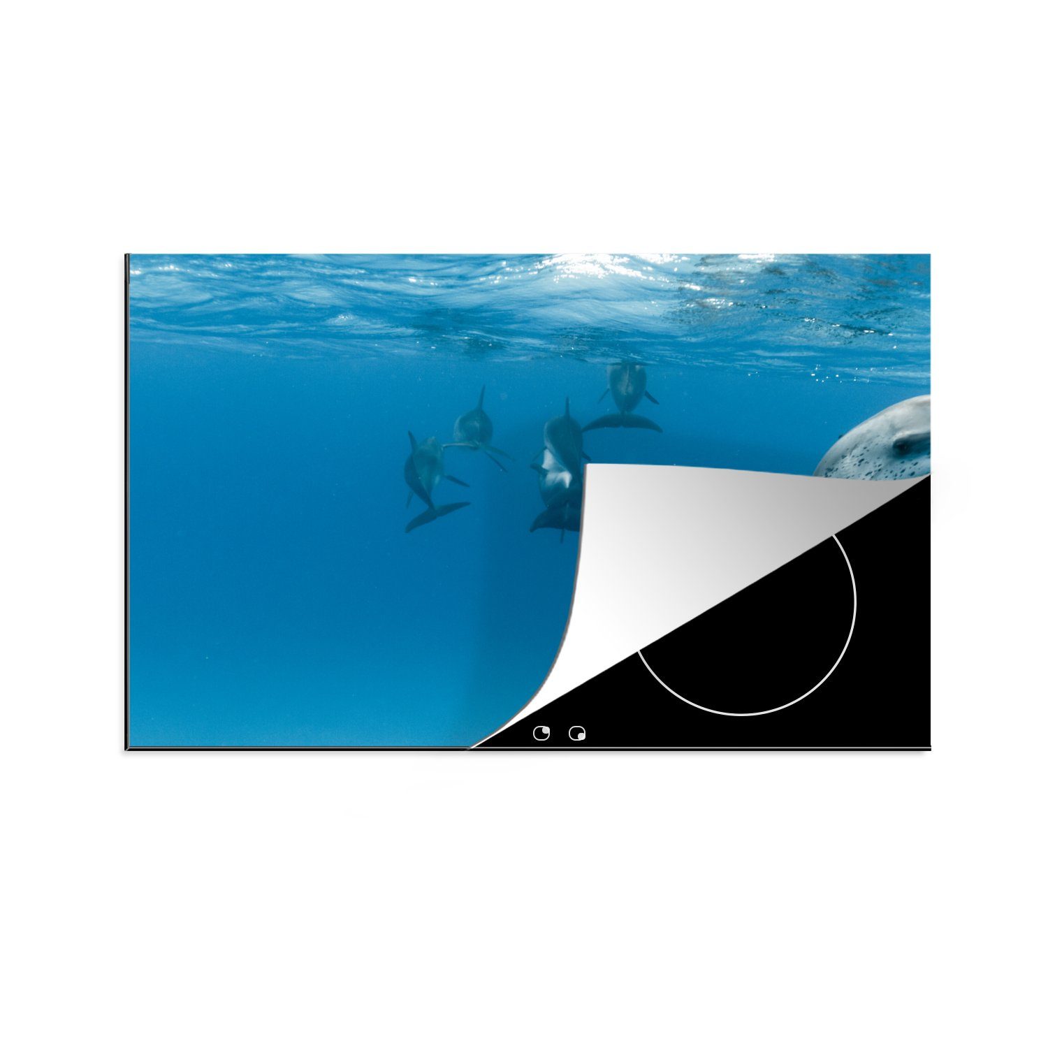 MuchoWow Herdblende-/Abdeckplatte Delphine bombardieren sich gegenseitig mit Fotos, Vinyl, (1 tlg), 81x52 cm, Induktionskochfeld Schutz für die küche, Ceranfeldabdeckung