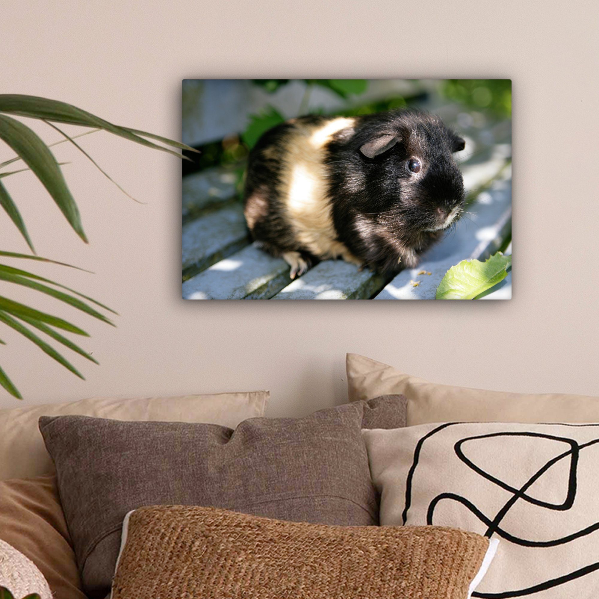 OneMillionCanvasses® Leinwandbild Meerschweinchen im Garten, Aufhängefertig, cm Wanddeko, Wandbild Leinwandbilder, 30x20 (1 St)