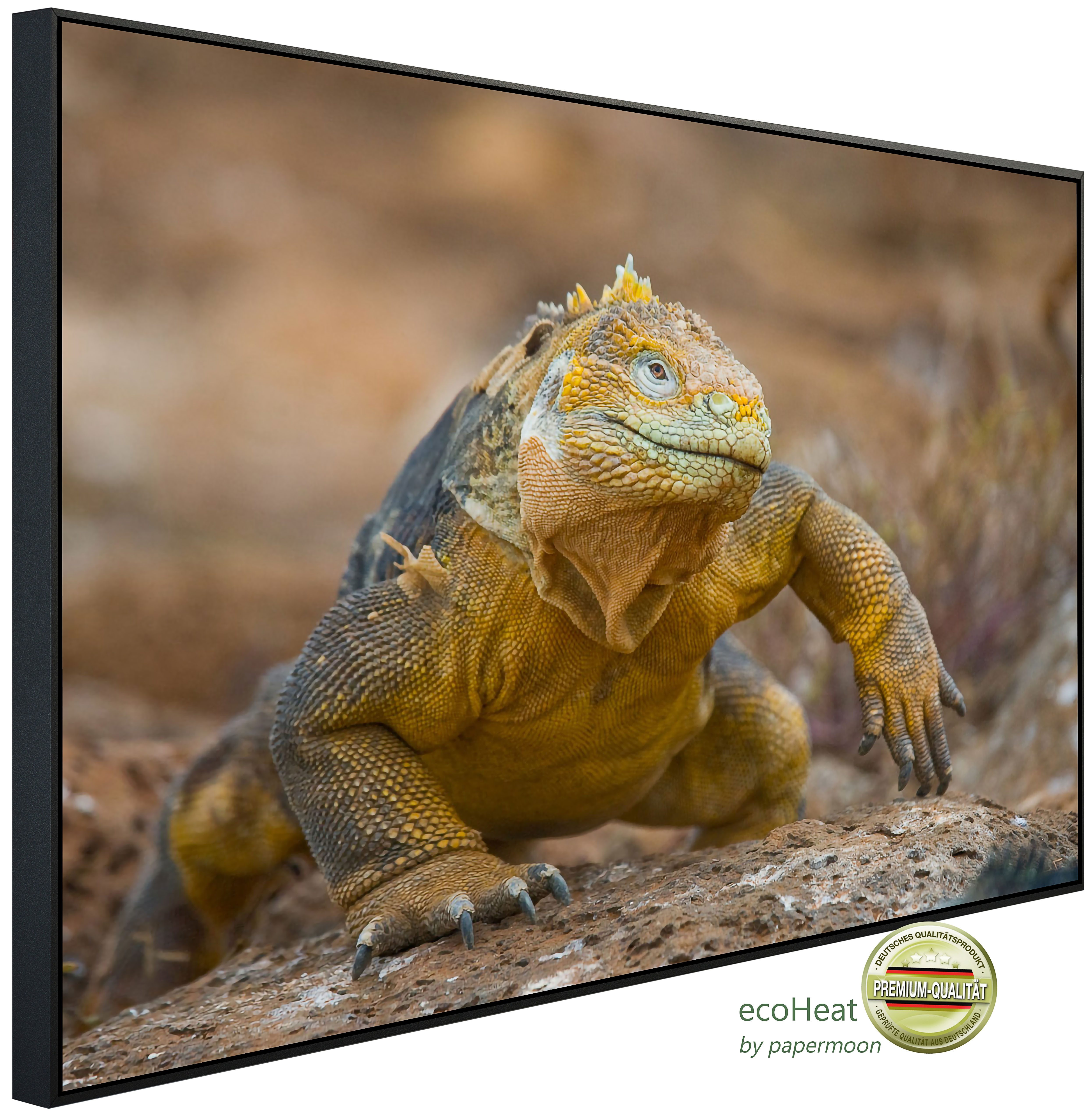 Papermoon Infrarotheizung INFRAROT-BILD-HEIZUNG, Galapagos-Leguan, TÜV-Rheinland/GS zertifiziert, angenehme Strahlungswärme
