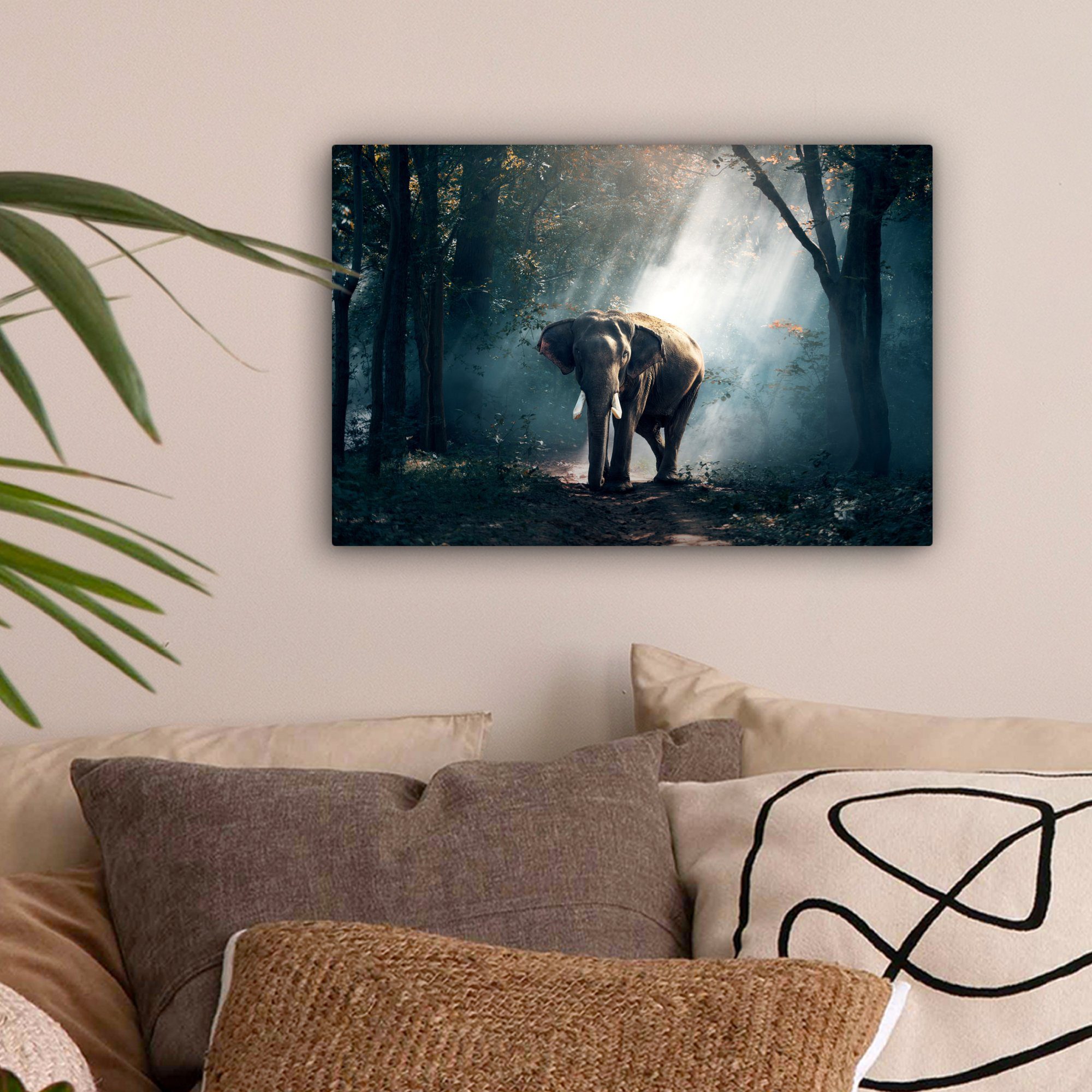 OneMillionCanvasses® Leinwandbild Elefant - Tiere - günstig online kaufen