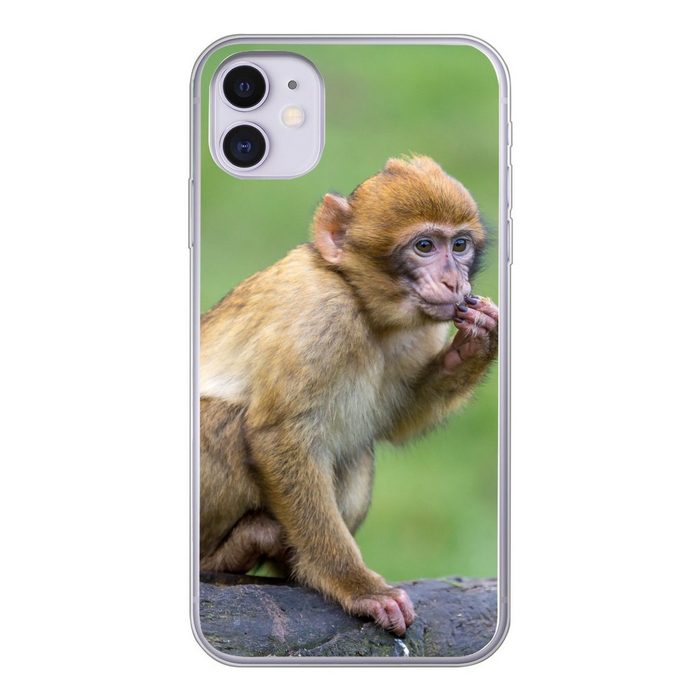 MuchoWow Handyhülle Affe - Zweig - Natur - Tiere Handyhülle Apple iPhone 11 Smartphone-Bumper Print Handy