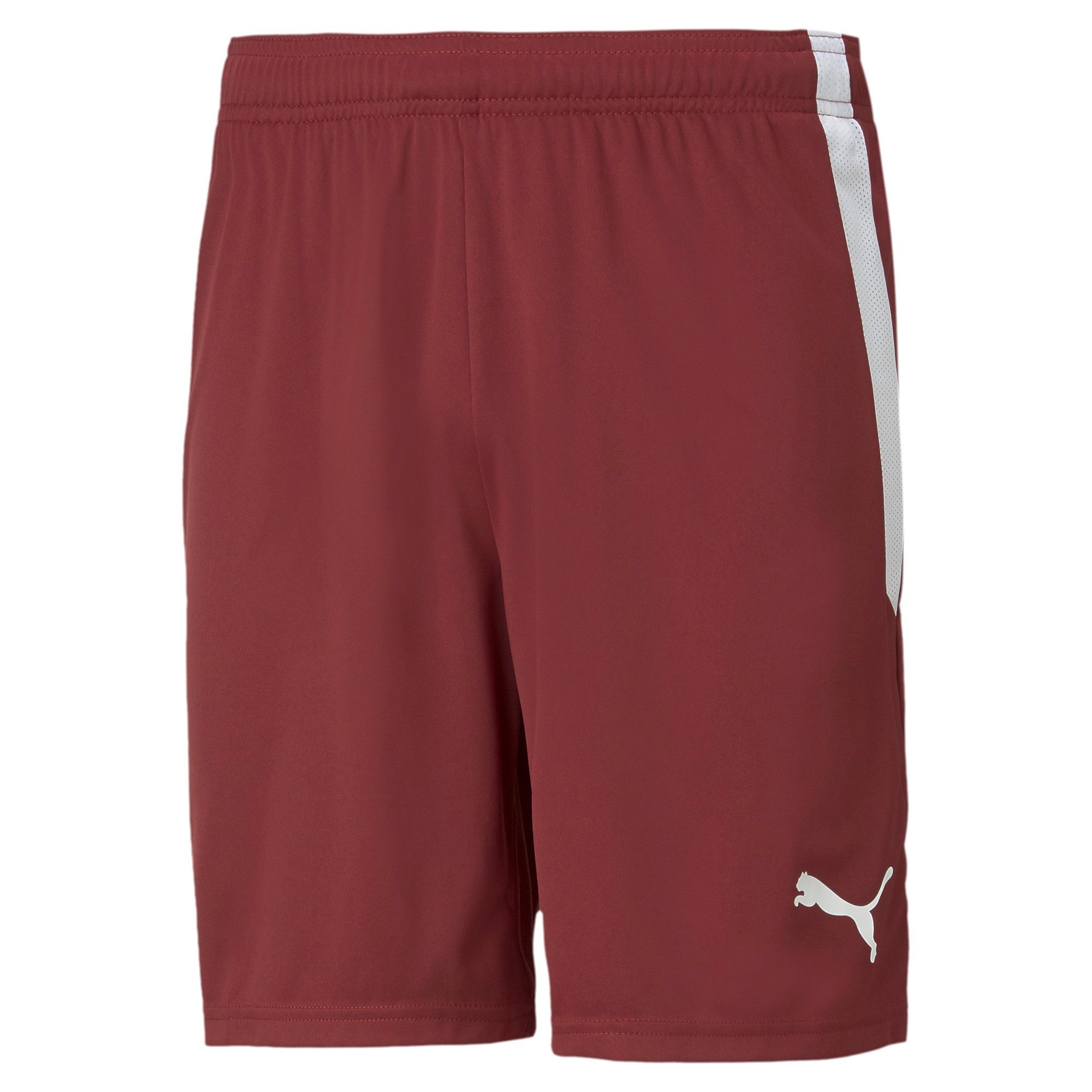 PUMA Trainingsshorts Puma Herren Shorts teamLIGA Shorts 704924