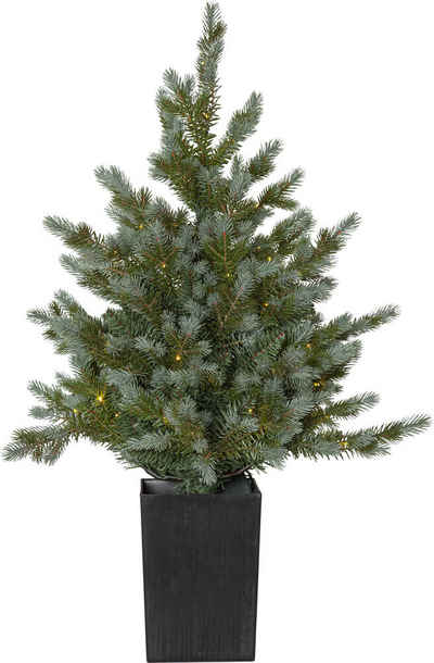 STAR TRADING LED Baum "Greyland" Kunststoff, warmweiß, 700x700mm, warmweiß