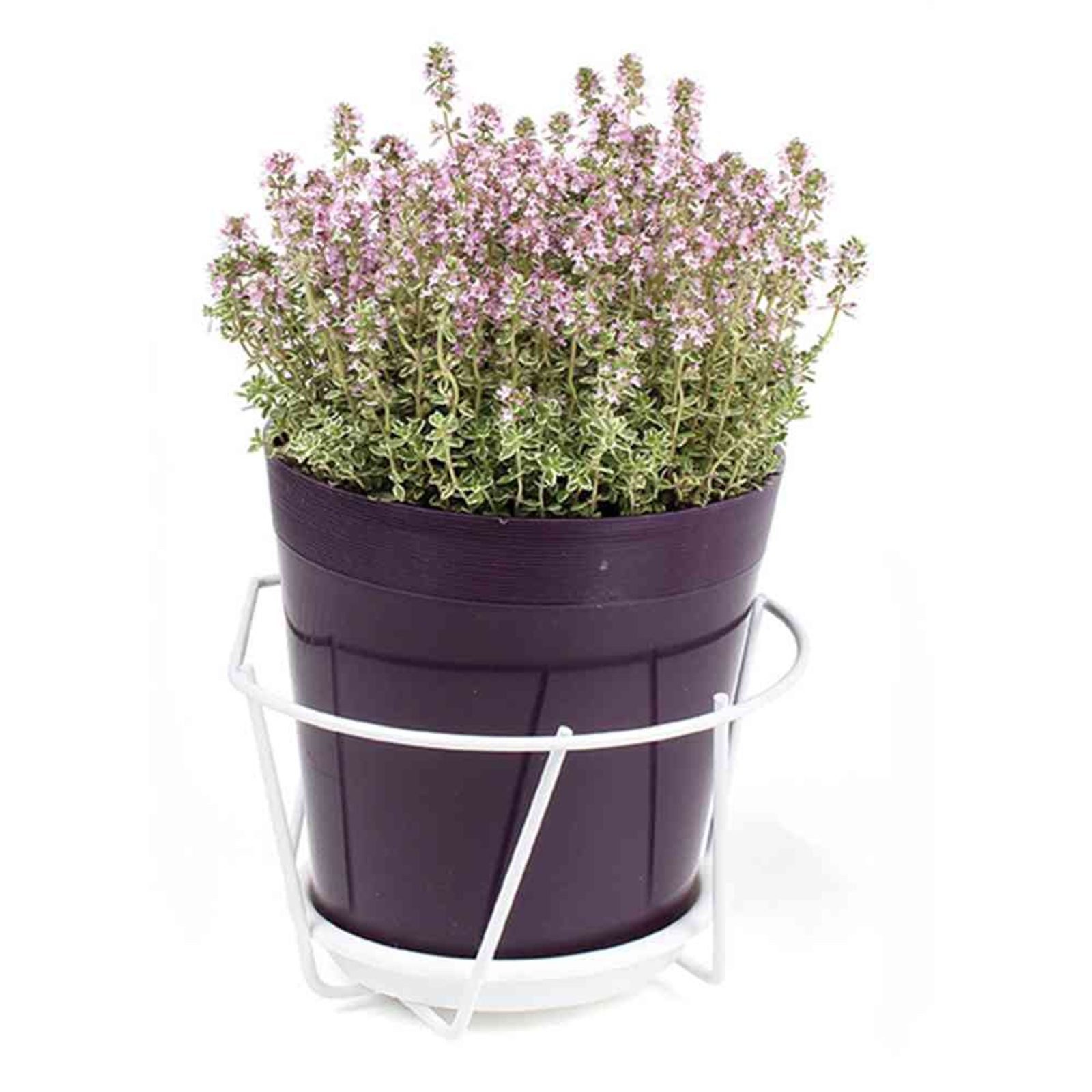 Jardifer Blumenkastenhalter Blumentopfhalter weiß Ø 16 cm zum Einhängen