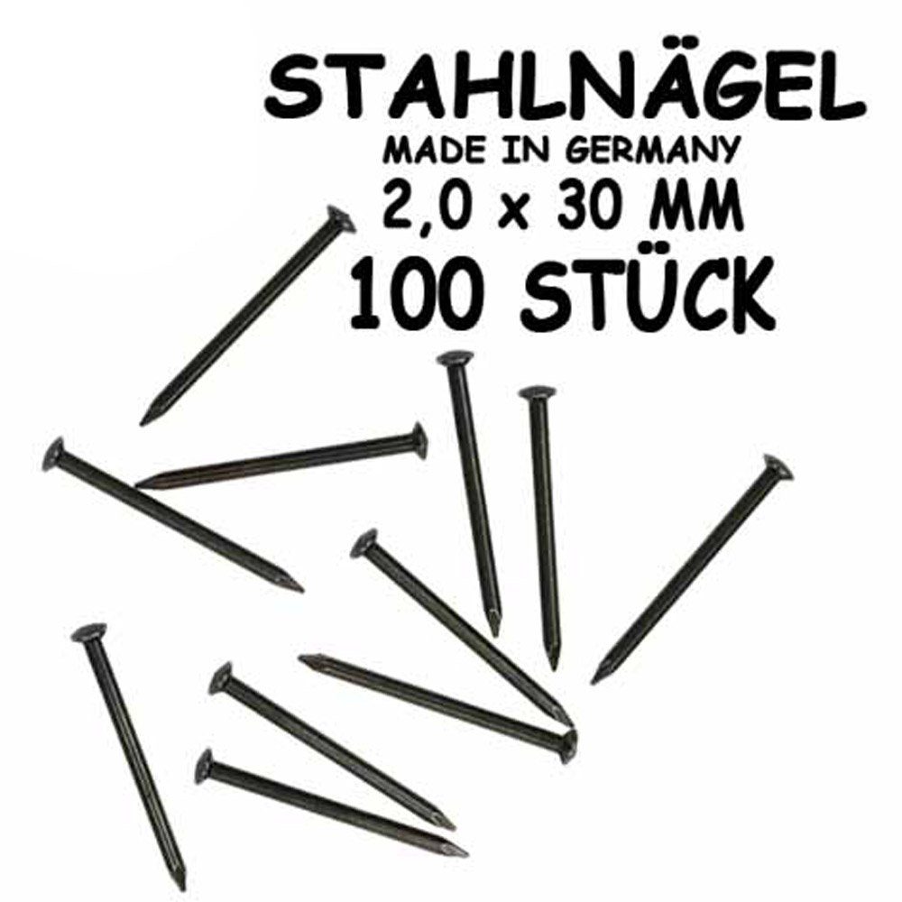 Corvus Spielwerkzeug Stahlnägel 2,0 x 30mm, 100 Stück