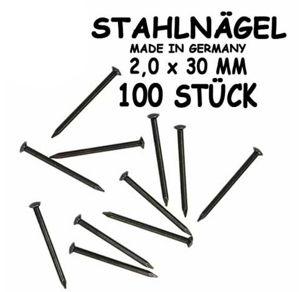 Corvus Spielwerkzeug Stahlnägel 2,0 x 30mm, 100 Stück