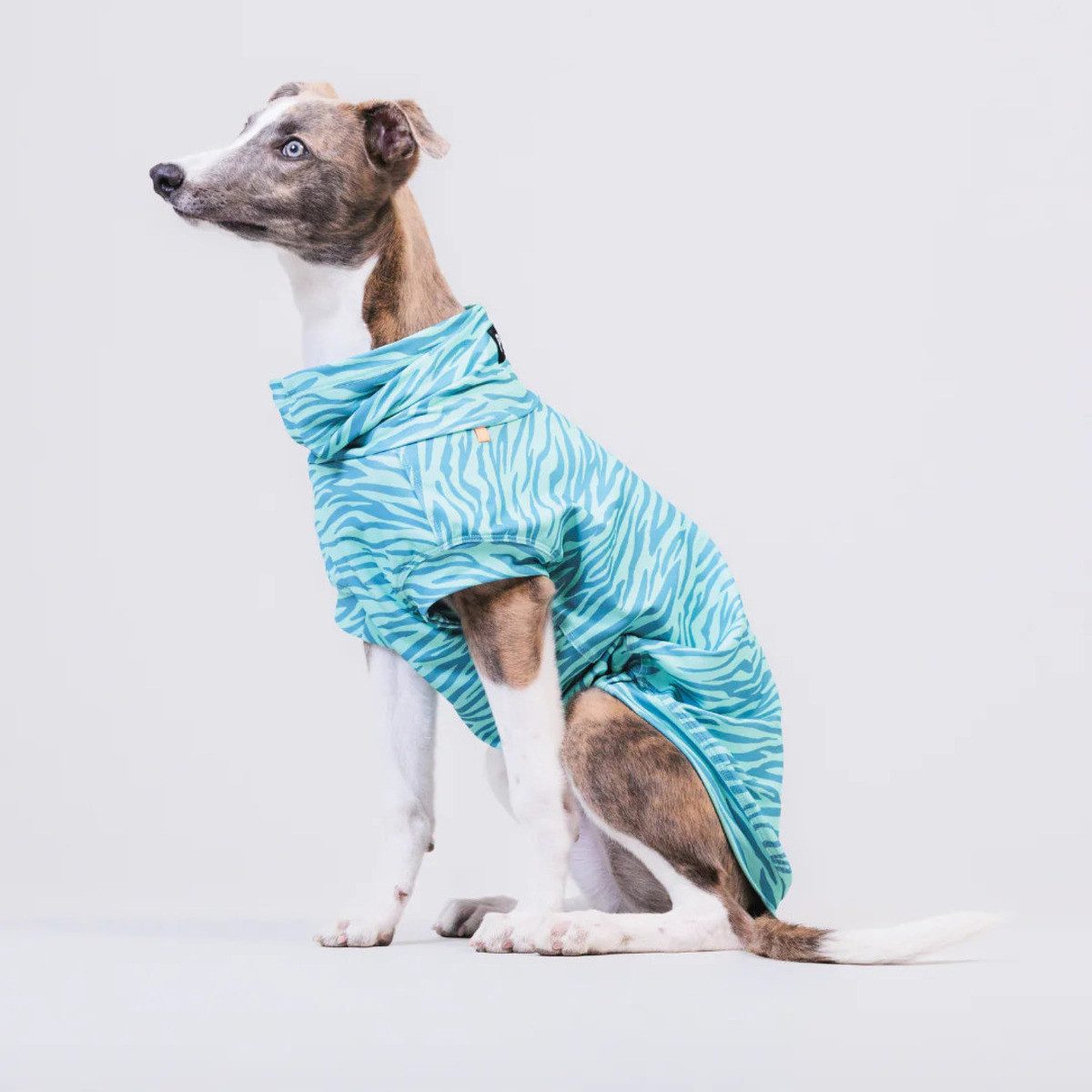 PAIKKA Hundeshirt Hundeshirt Sonnenschutz/Antiparasit "UV & Bug Shirt" teal