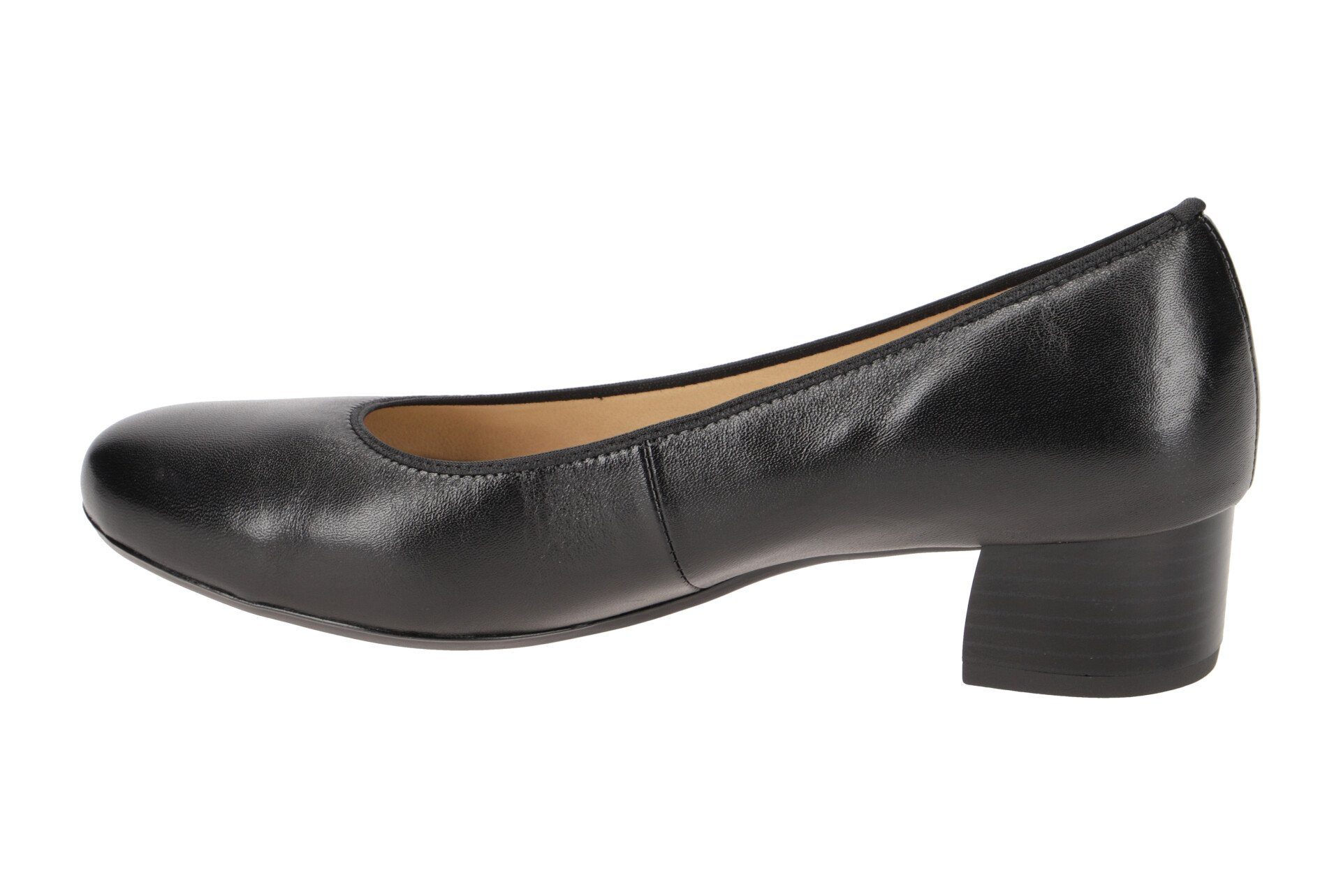 Ara 12-16601 17 Pumps