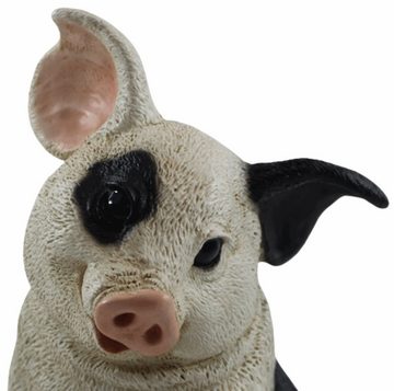 Castagna Tierfigur Figur Schwein Ferkel sitzend nach unten schauend gefleckt Kollektion Castagna aus Resin H 22 cm