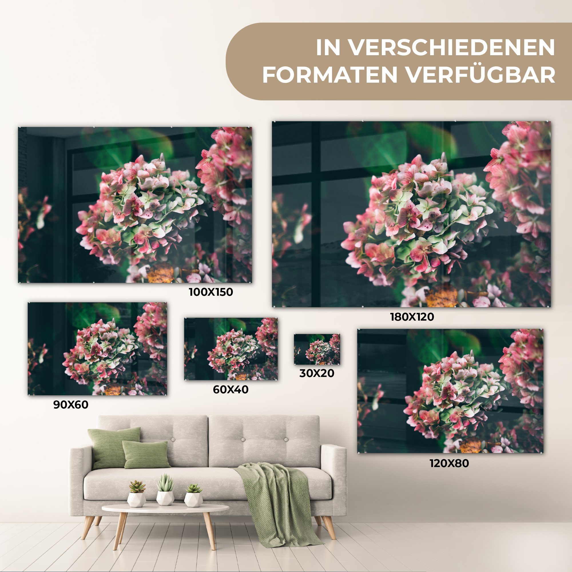 Wohnzimmer (1 Rosen Pflanze St), - - & MuchoWow Acrylglasbilder Acrylglasbild Weiß, Schlafzimmer