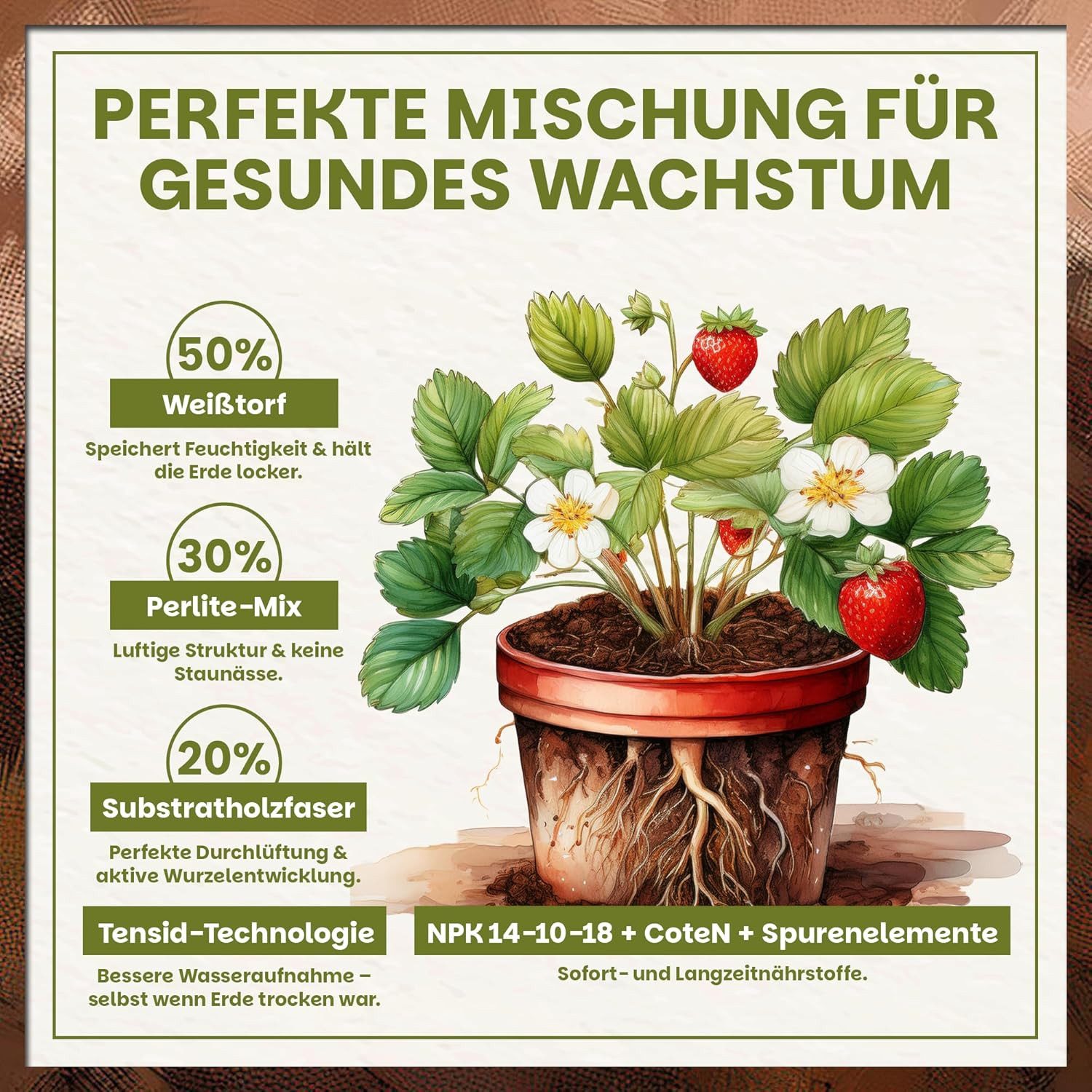 GREEN HOME LOVE NATURE Spezialerde Beerenobst Erde – Substrat für Erdbeeren, Obst- und Beerenpflanzen 18 L, 36 L, 72 L, Bio-Qualität, Perlite, NPK 14-10-18 + Co – Bild 4 von 5