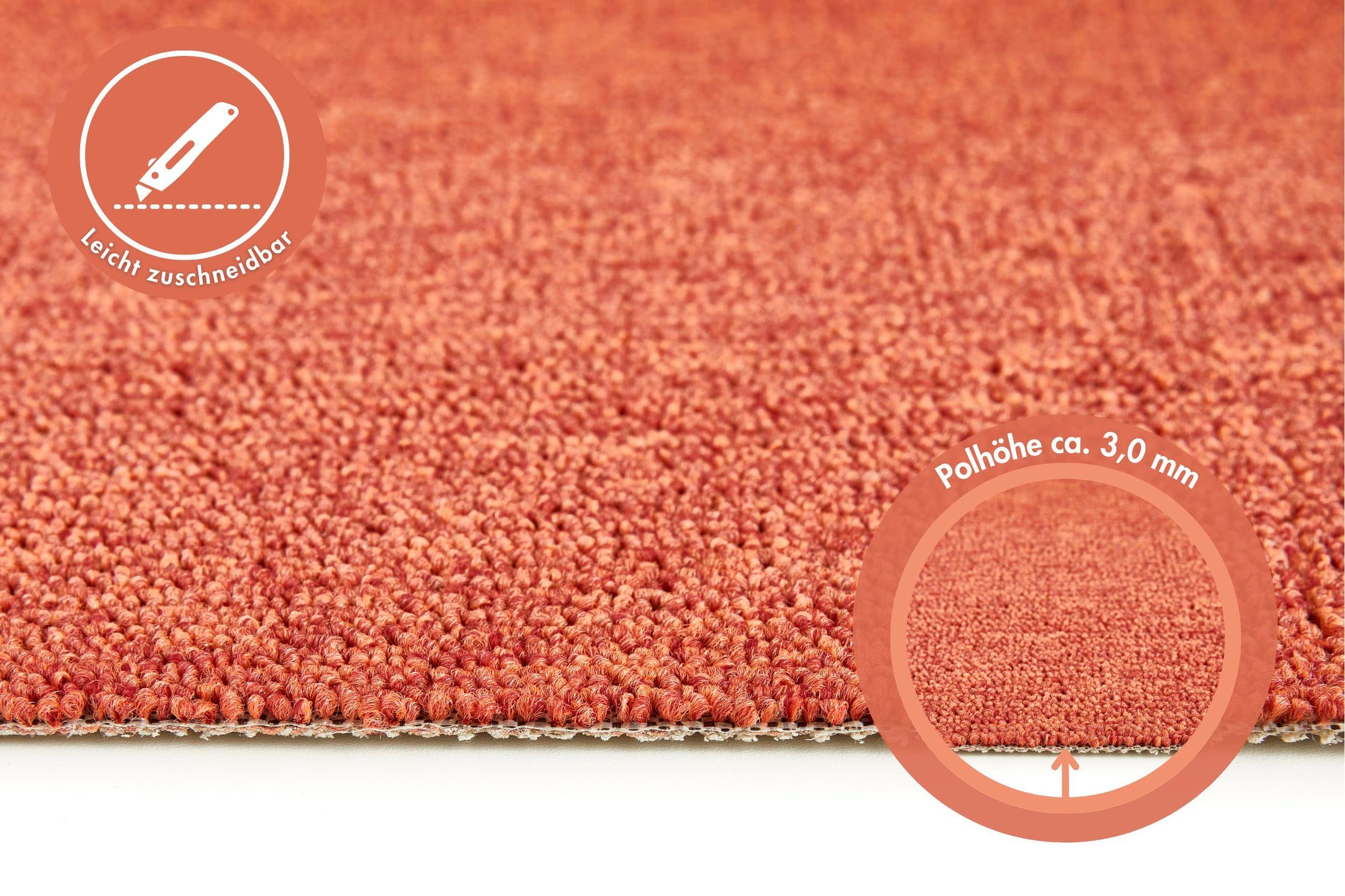 Rote Teppichböden online kaufen » Rote Auslegware | OTTO