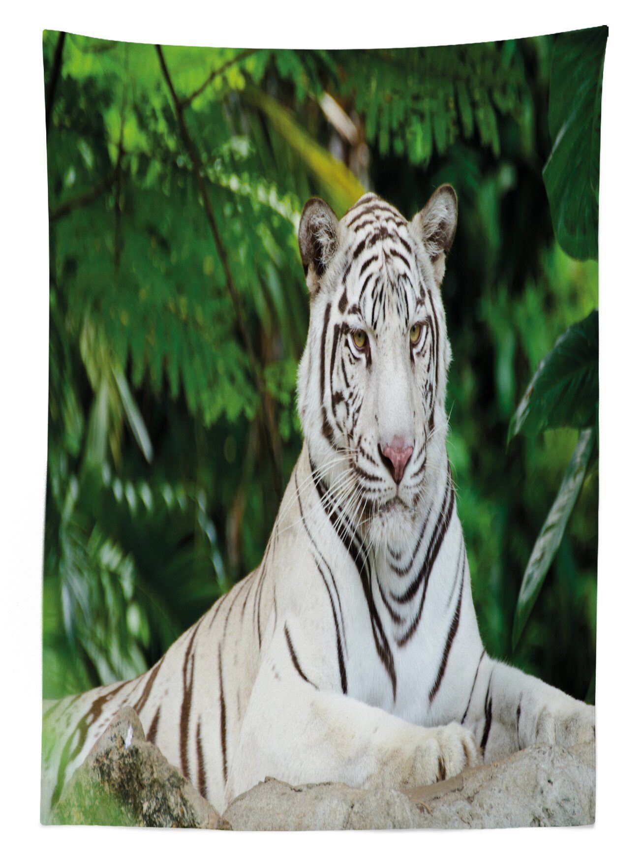 Abakuhaus Tischdecke Farbfest Außen geeignet Bengal-Katze Farben, Waschbar Für Tiger den auf Bereich Klare Felsen Albino