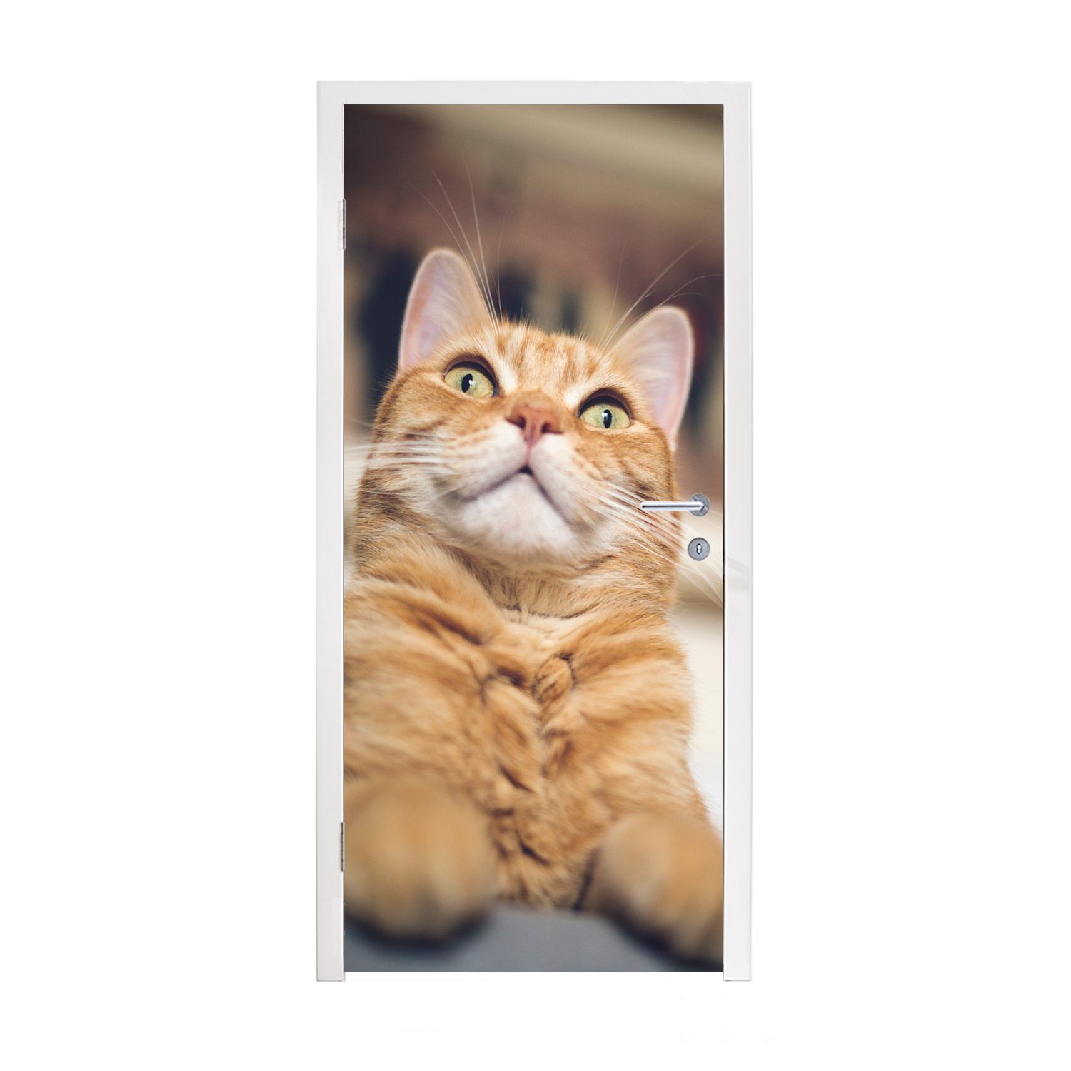 MuchoWow Türtapete Katze - Bank - Orange, Matt, bedruckt, (1 St), Fototapete für Tür, Türaufkleber, 75x205 cm