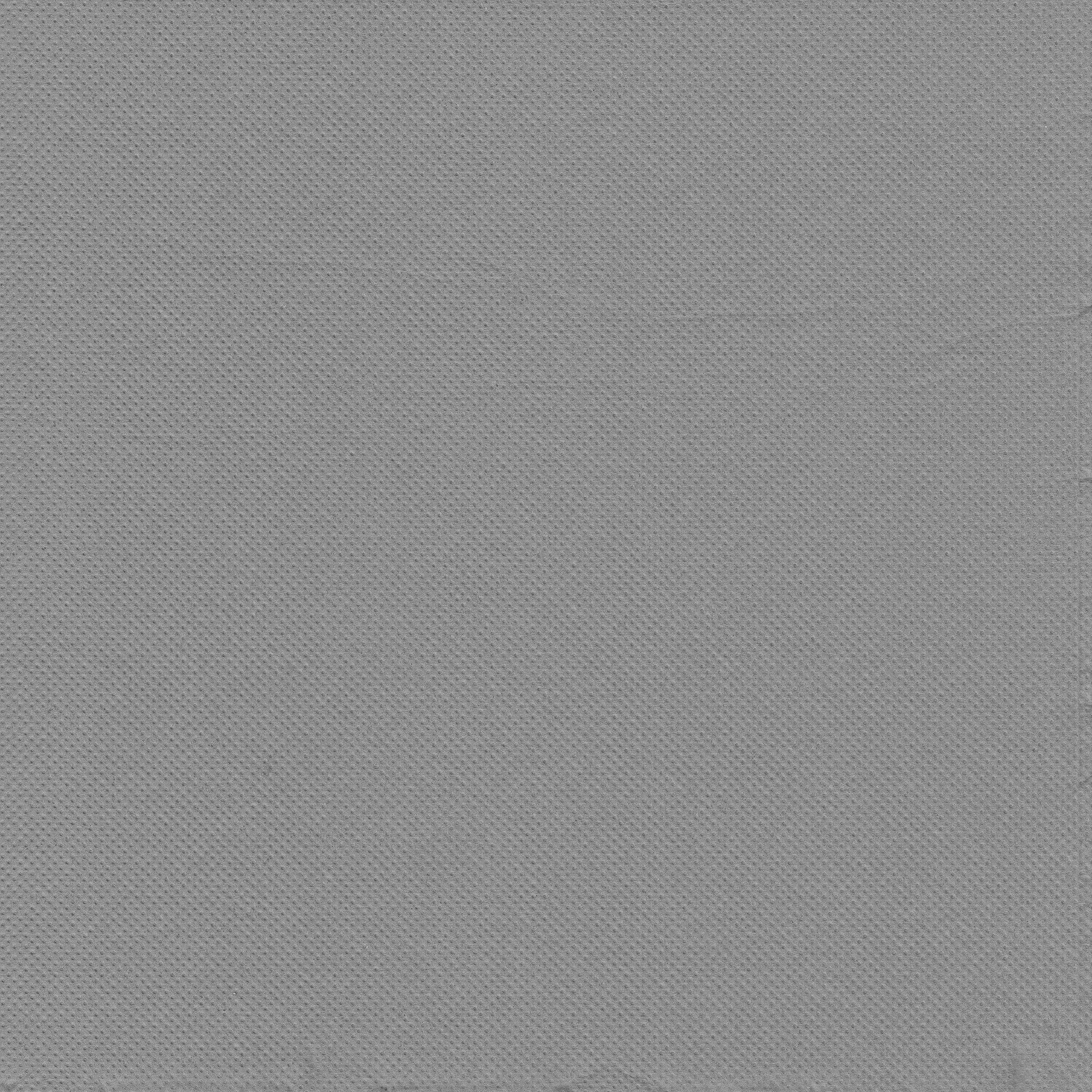 PAPSTAR Papierserviette, Servietten Papier 38x38cm 2-lagig 1/4-Falz 30 Stück Mikrogeprägt Grau