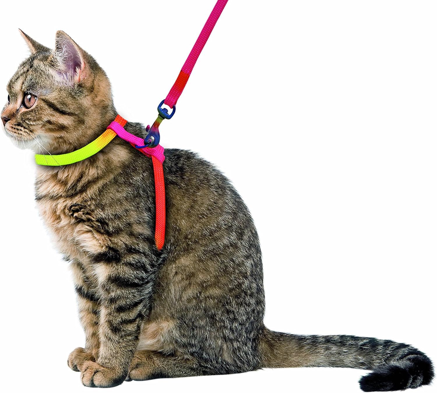 Kerbl Katzen-Geschirr Katzengeschirr RAINBOW 10 mm / mit Leine 120 cm