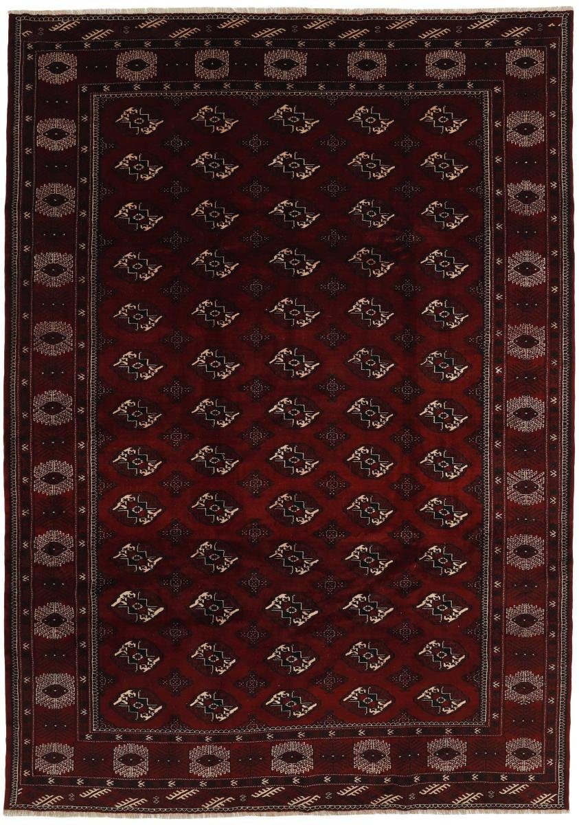 Orientteppich Turkaman 262x371 Handgeknüpfter Orientteppich / Perserteppich, Nain Trading, rechteckig, Höhe: 6 mm
