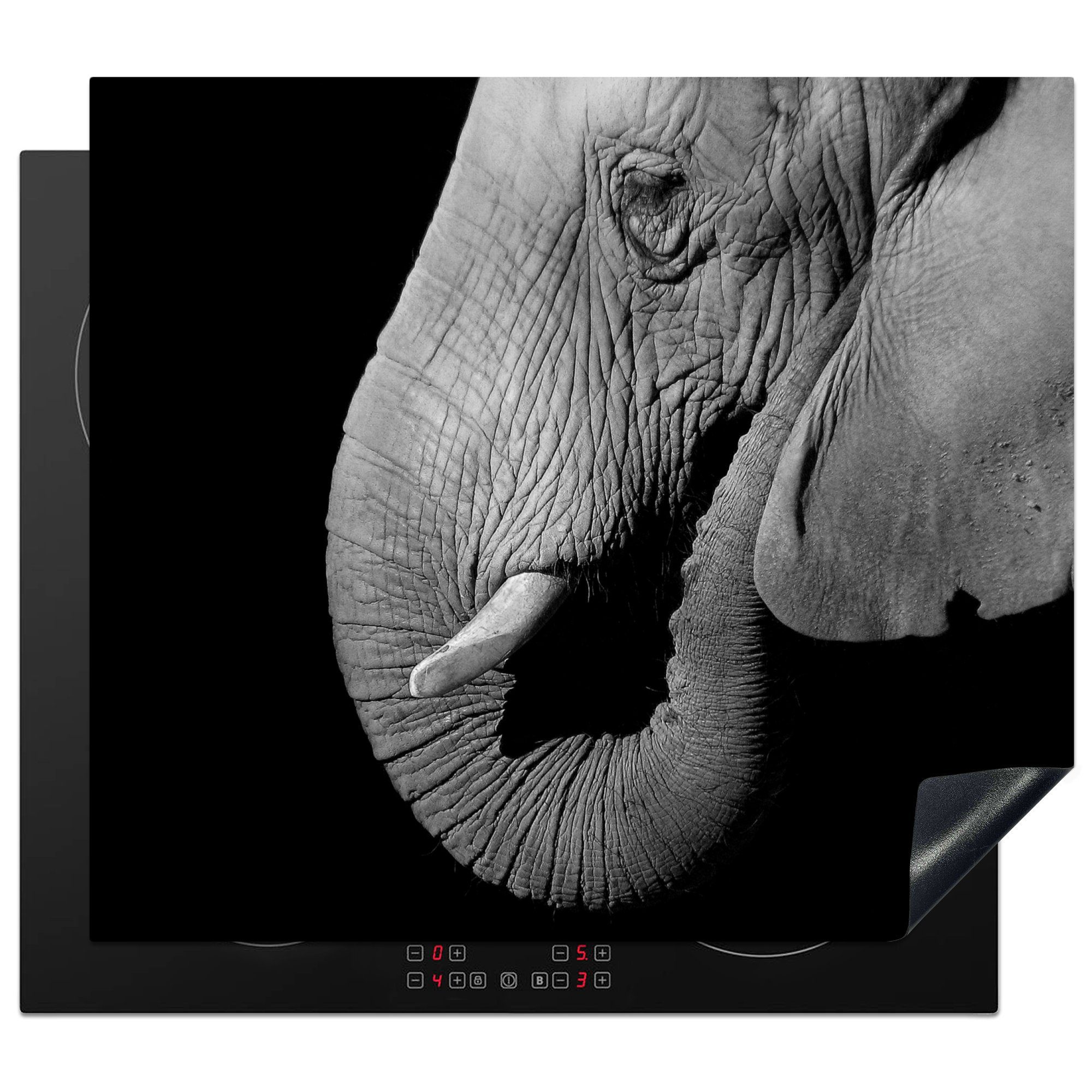 MuchoWow Herdblende-/Abdeckplatte Close-up-Porträt eines Elefanten auf einem schwarzen Hintergrund -, Vinyl, (1 tlg), 60x52 cm, Mobile Arbeitsfläche nutzbar, Ceranfeldabdeckung