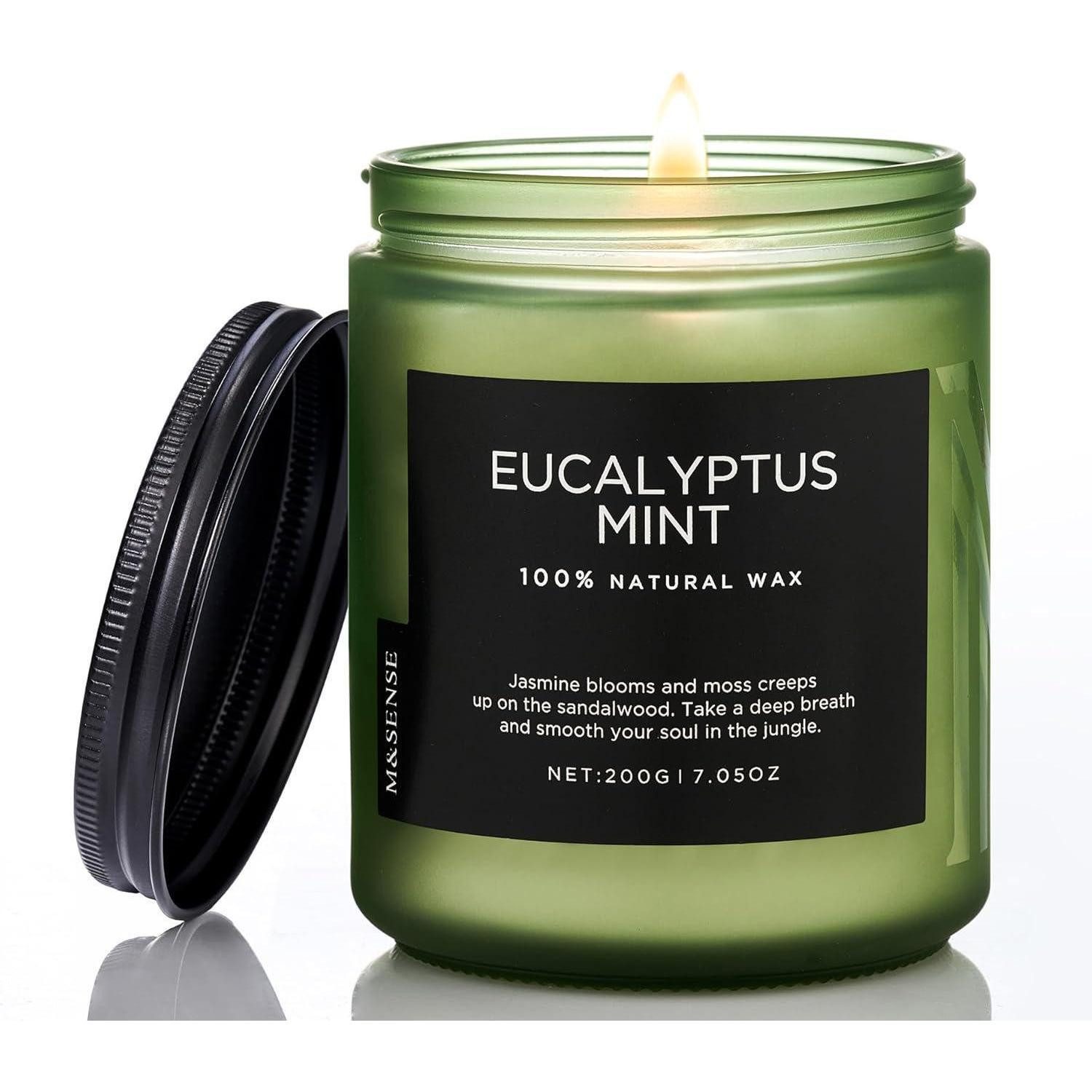 LuxusKollektion Duftkerze Duftkerze Sojawachs Minze Eukalyptus 200g 50Std Eukalyptusminze 200g