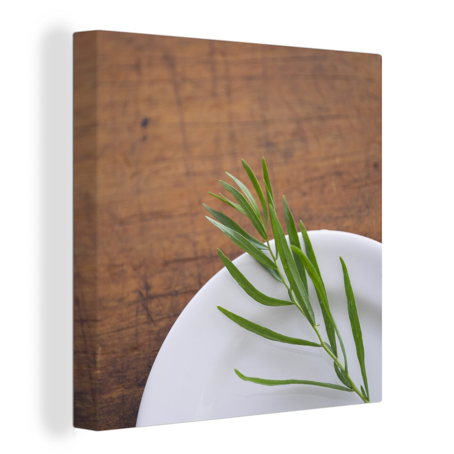 OneMillionCanvasses® Leinwandbild Weiße Muskelschale mit einer einsamen Estragonpflanze auf einem, (1 St), Leinwand Bilder für Wohnzimmer Schlafzimmer