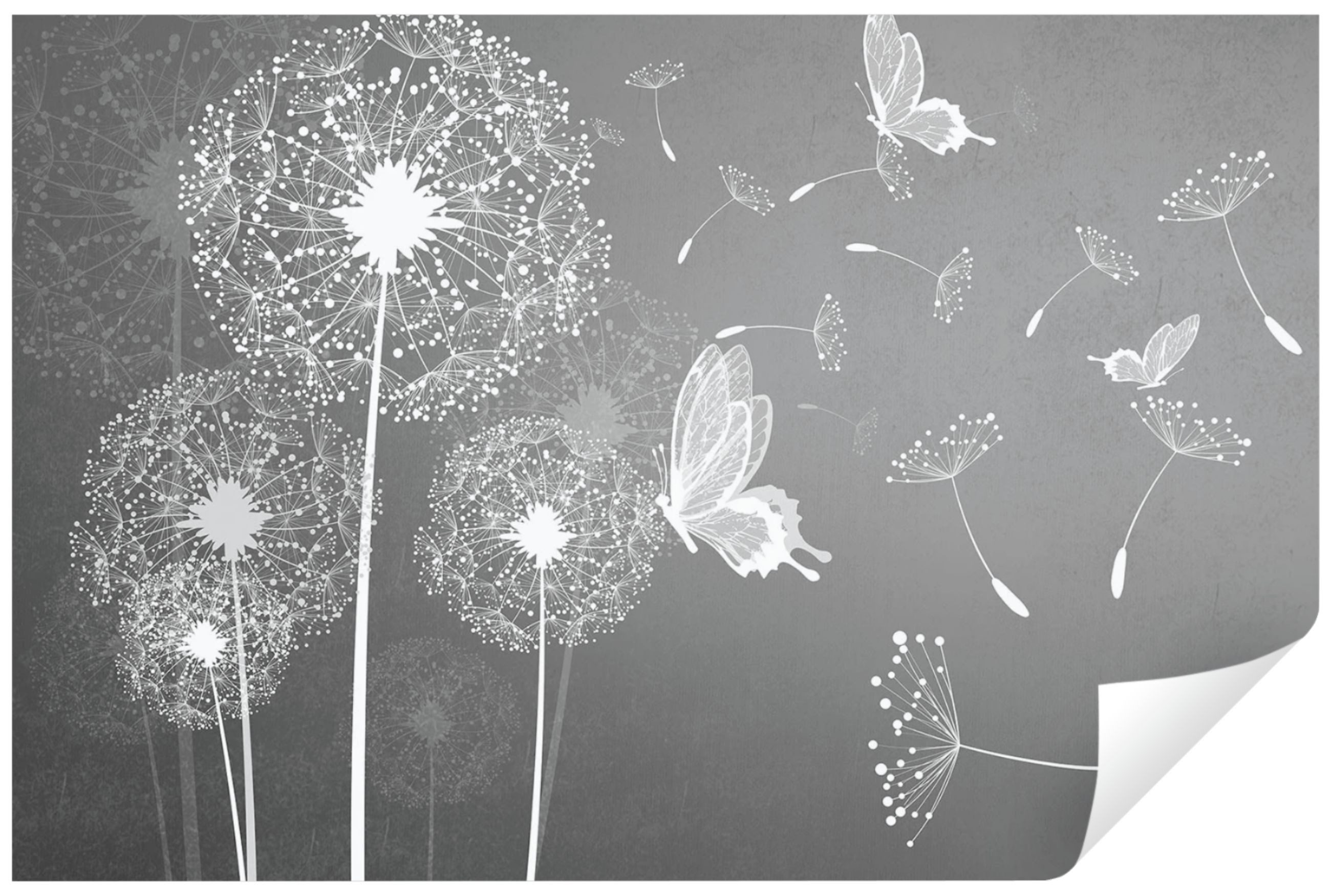 Wallarena Fototapete Pusteblumen Blumen Grau Schmetterling Moderne Wohnzimm günstig online kaufen