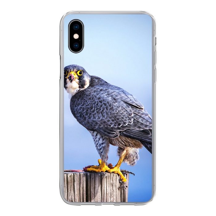 MuchoWow Handyhülle Nahaufnahme eines Raubvogels auf einer dicken Holzstange Handyhülle Apple iPhone Xs Smartphone-Bumper Print Handy