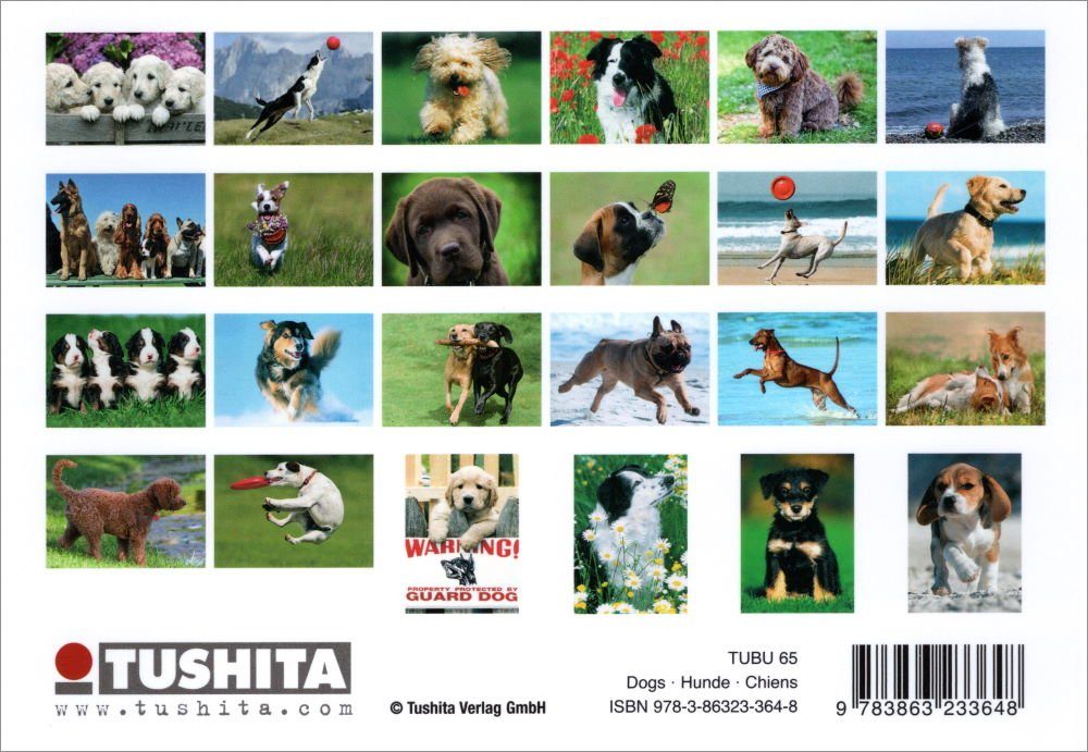 Postkarte nbuch "Dogs * Hunde * Chiens" mit 24 süßen Hundemotiven | Grußkarten