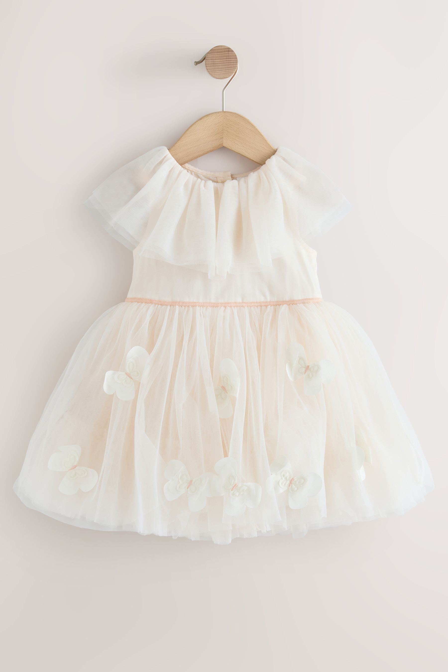 Next Tüllkleid Mesh-Kleid mit Rüschenkragen (1-tlg)