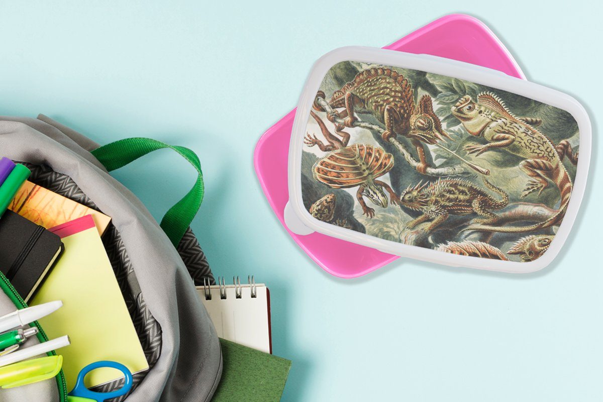MuchoWow Lunchbox - Kunststoff - Brotbox Haeckel Erwachsene, - Mädchen, Kinder, Ernst Snackbox, Brotdose - rosa Tiere, (2-tlg), Kunststoff, für Jahrgang Kunst Salamander