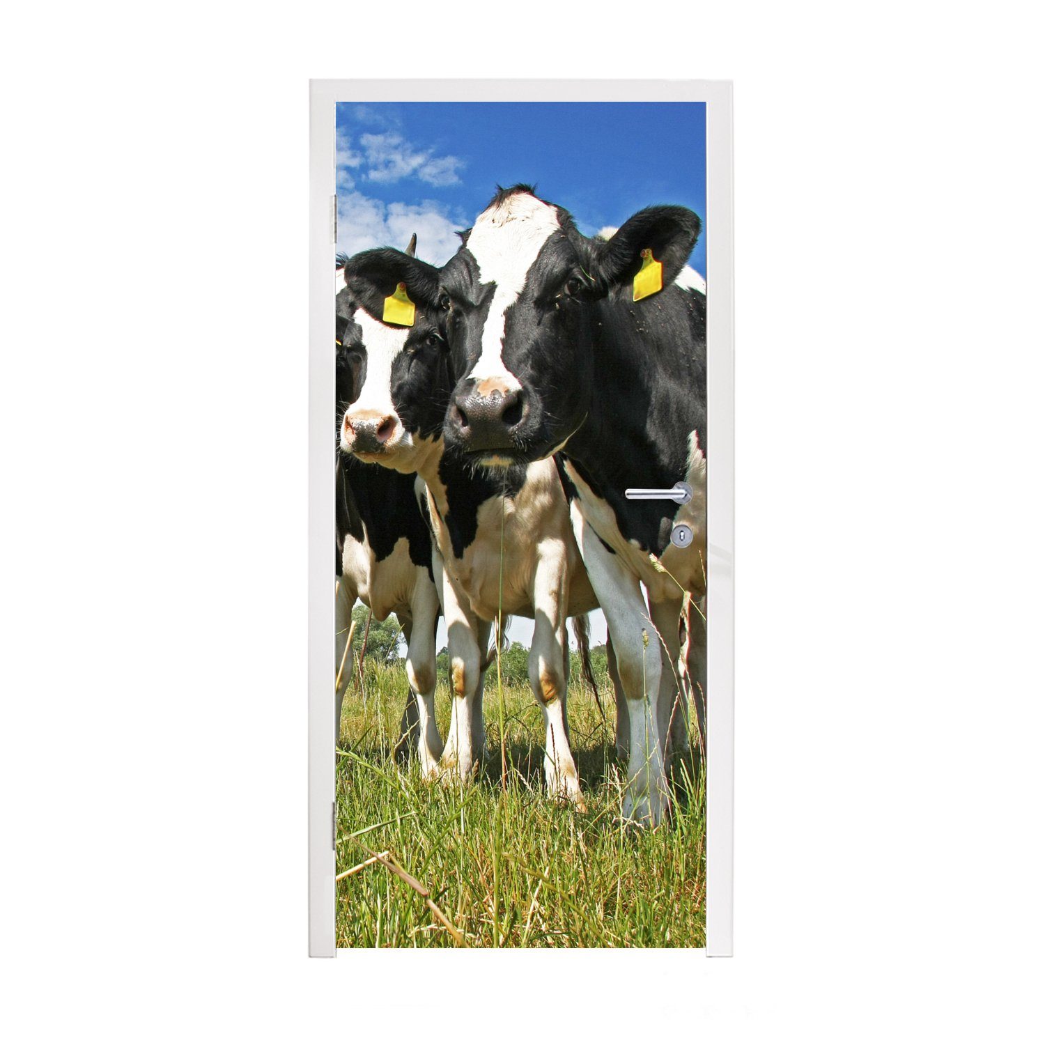 MuchoWow Türtapete Kühe - Gras - Wiese - Tiere, Matt, bedruckt, (1 St), Fototapete für Tür, Türaufkleber, 75x205 cm