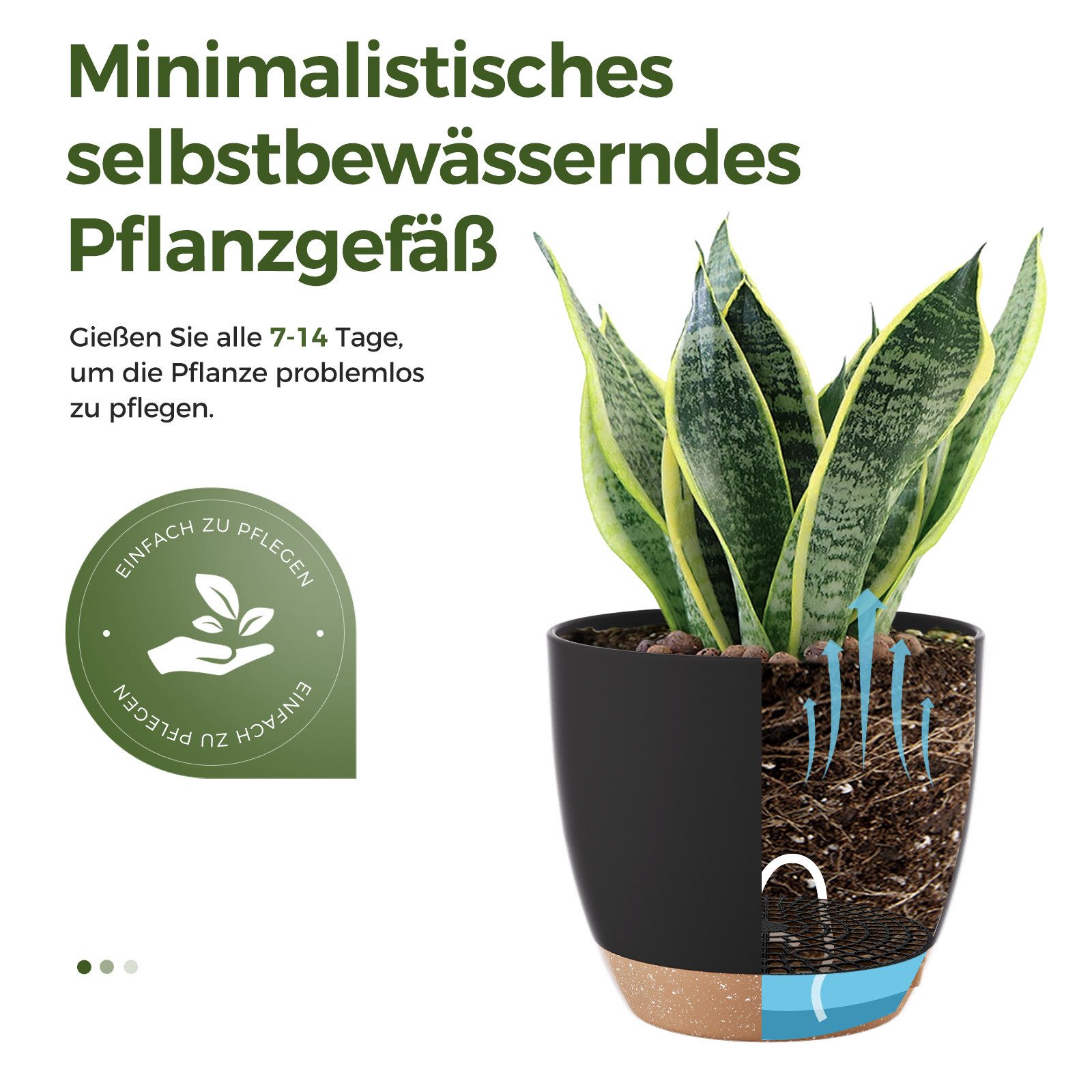 Bamworld Blumentopf 6er-Set Zimmerpflanzen-Topfregal mit Bewässerung, mit Abflussloch (6 St), Kunststoff, Schwarz