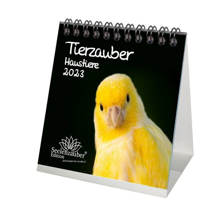 Seelenzauber Tischkalender Tierzauber Haustiere Tischkalender für 2023 Format 10cm x 10cm - Seele