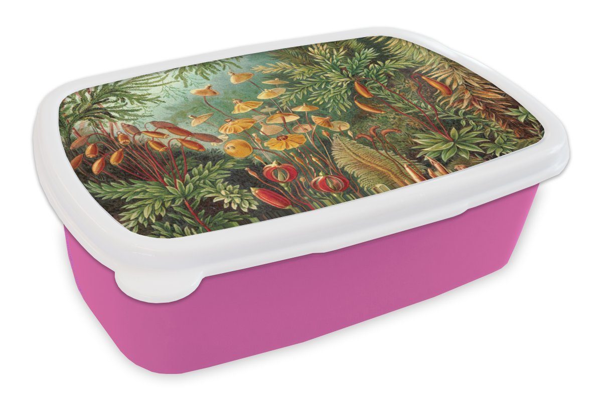 MuchoWow Lunchbox Gestaltung - Natur - Pilze - Ernst Haeckel, Kunststoff, (2-tlg), Brotbox für Erwachsene, Brotdose Kinder, Snackbox, Mädchen, Kunststoff rosa