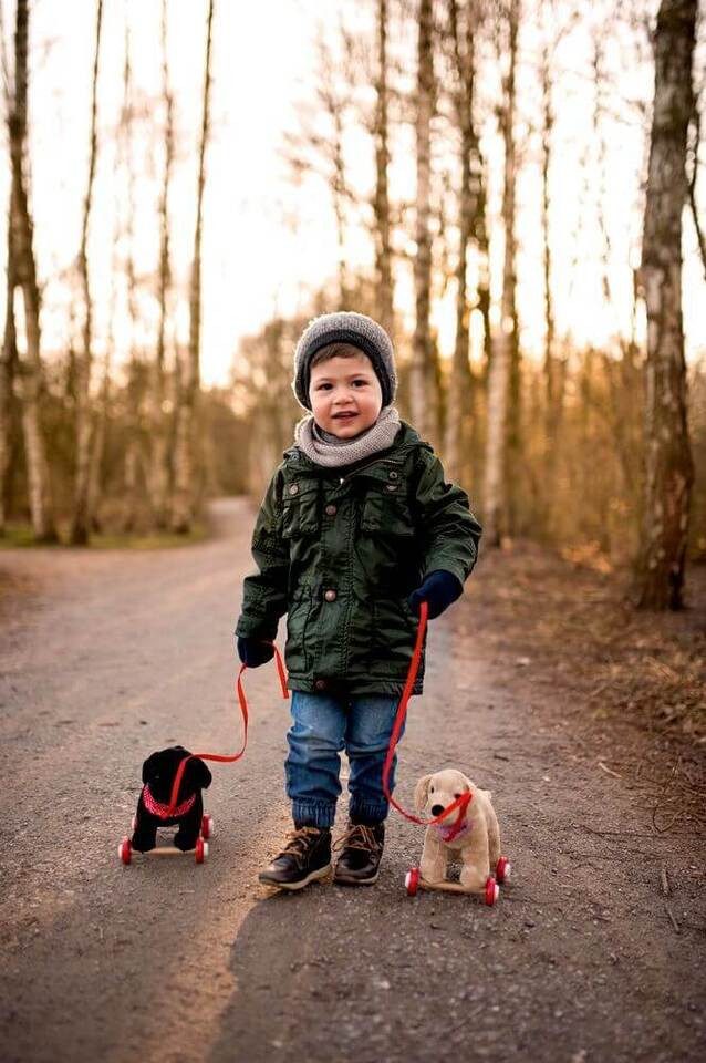 COPPENRATH DIE SPIEGELBURG Nachziehtier Hund Labrador günstig online kaufen
