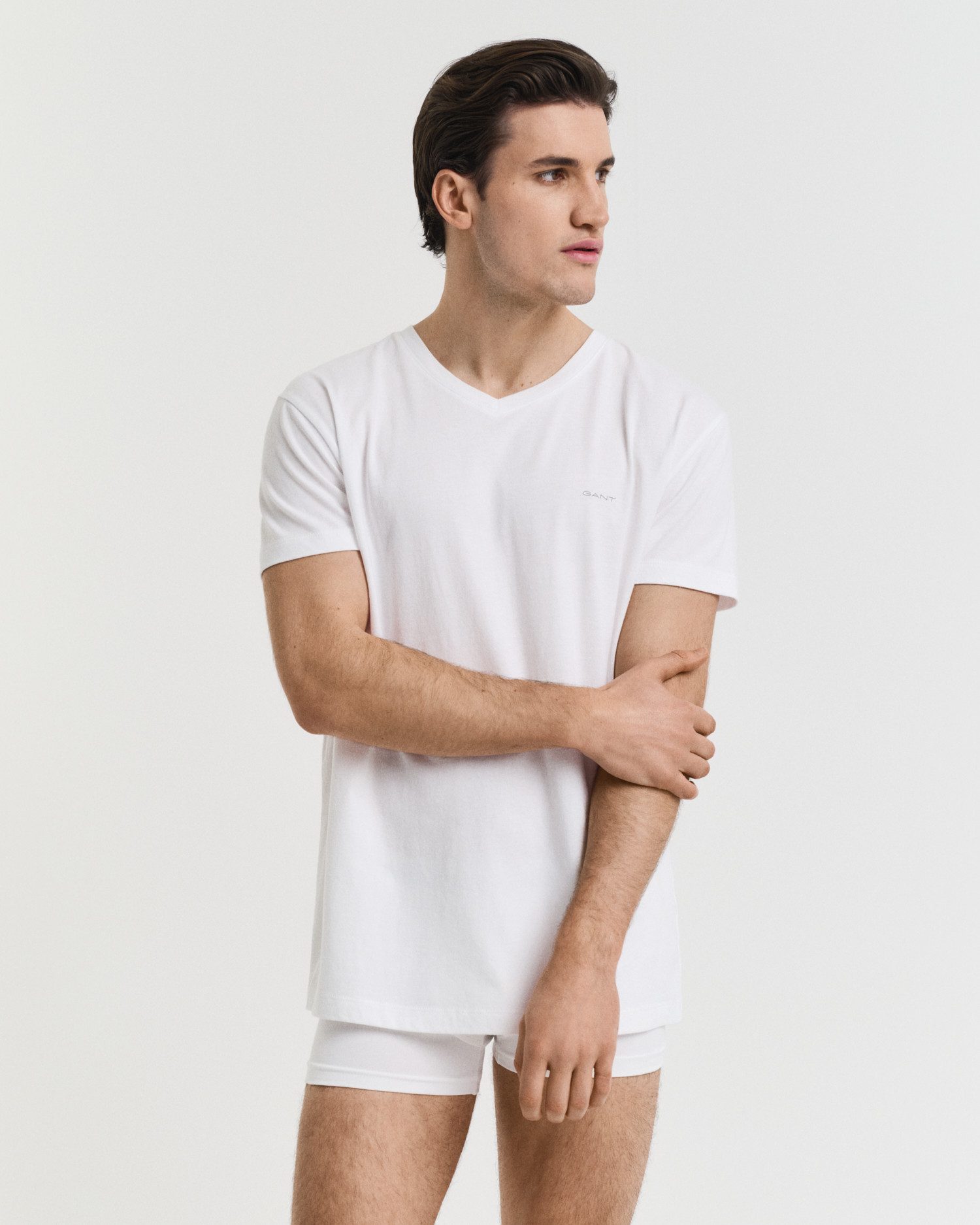 Gant Kurzarmshirt V-NECK T-SHIRT 2-PACK Mit günstig online kaufen