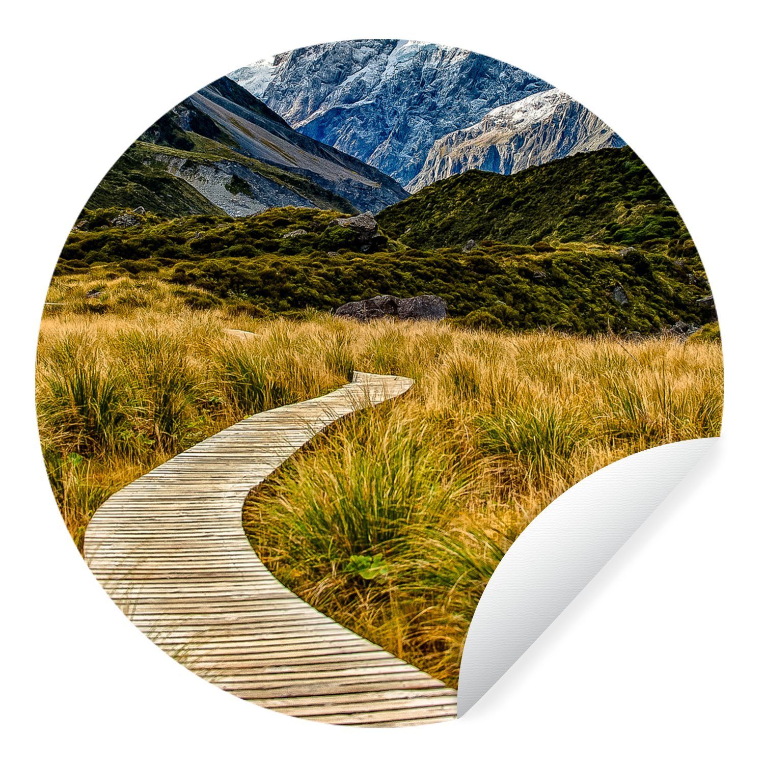 MuchoWow Wandsticker Neuseeland - Kröte - Gras (1 St), Tapetenkreis für Kinderzimmer, Tapetenaufkleber, Rund, Wohnzimmer