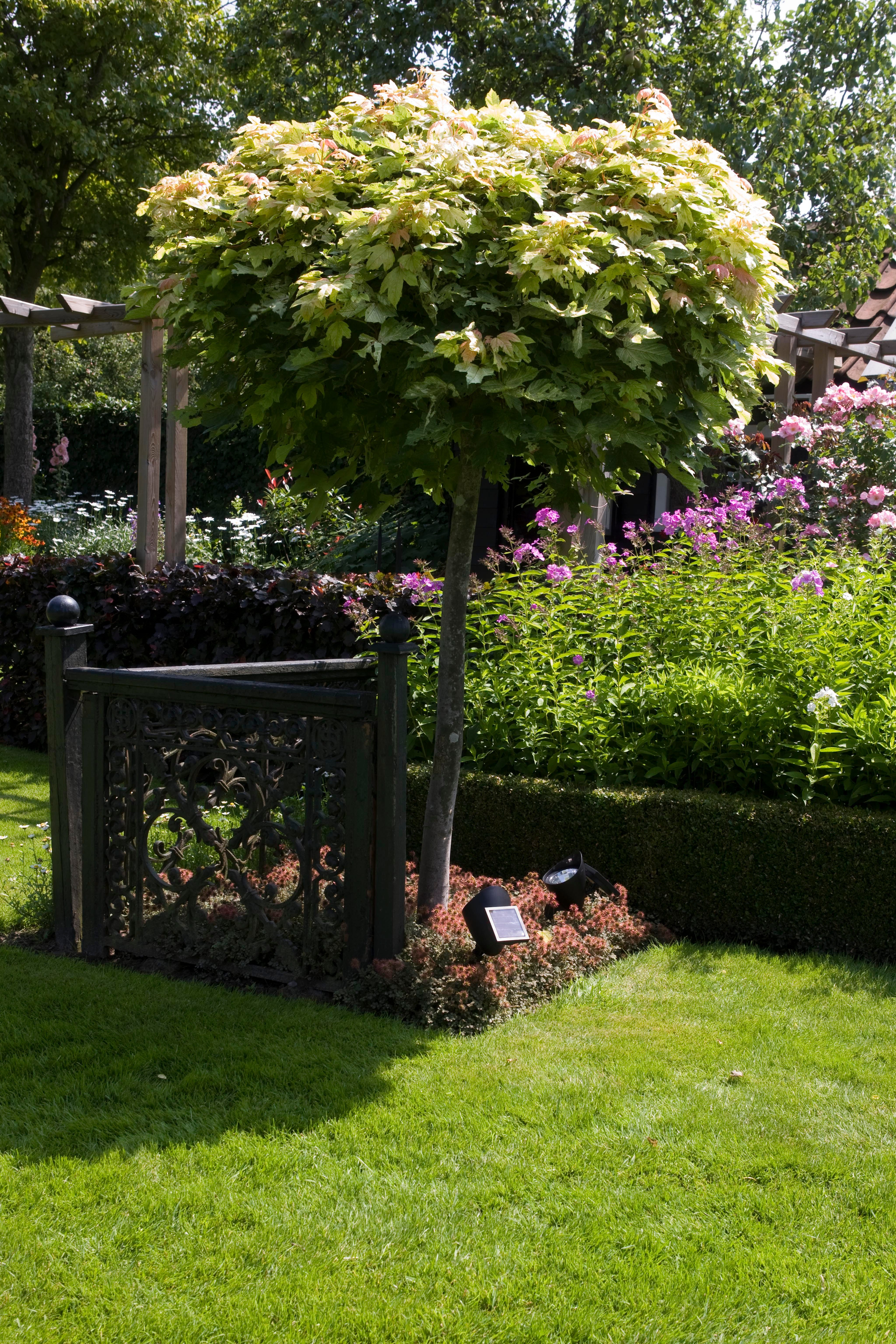 Luxform Gartenstrahler Solar-Gartenleuchten - Lazise - günstig online kaufen