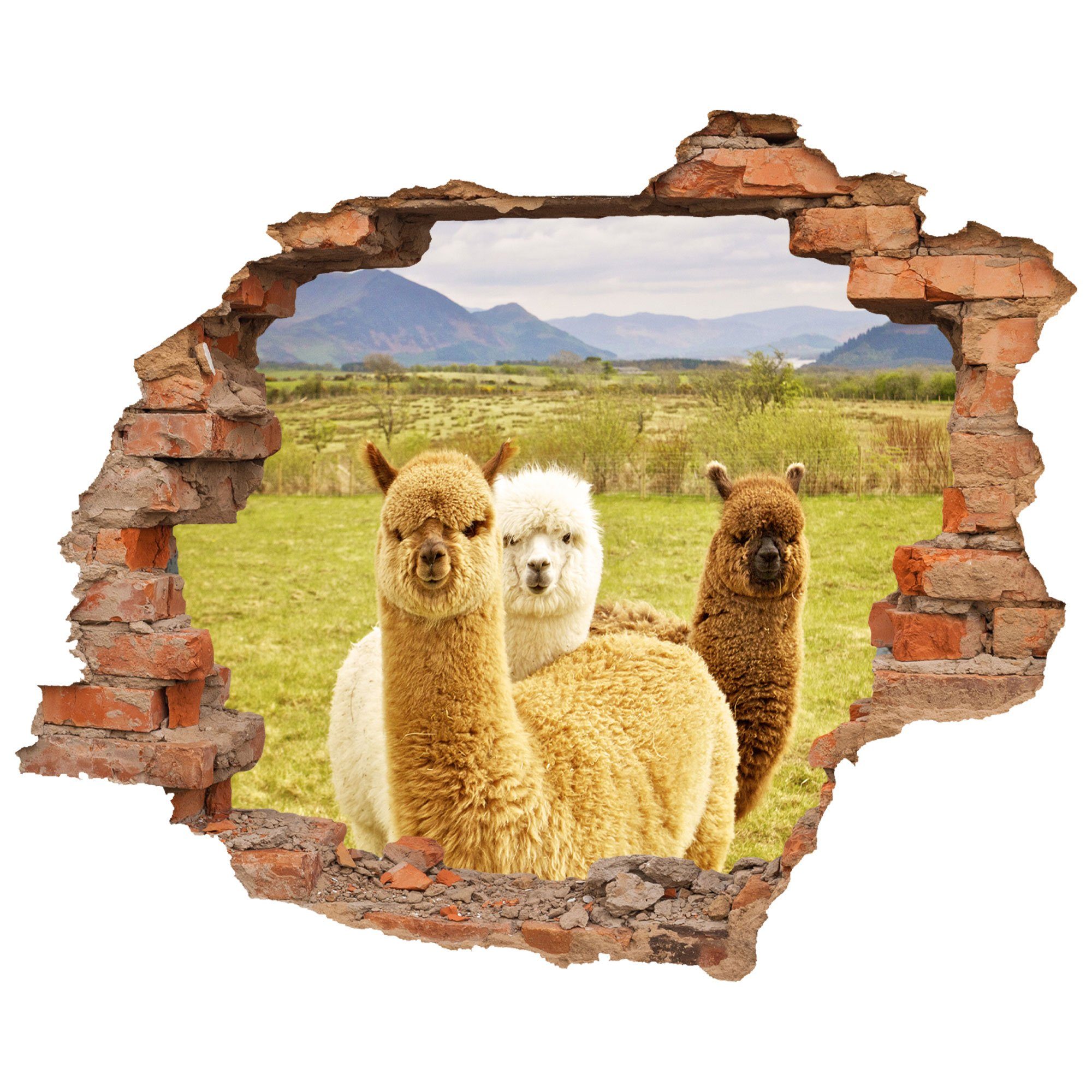 WallSpirit Wandtattoo Wanddurchbruch "Alpaka", Selbstklebend, rückstandslos günstig online kaufen