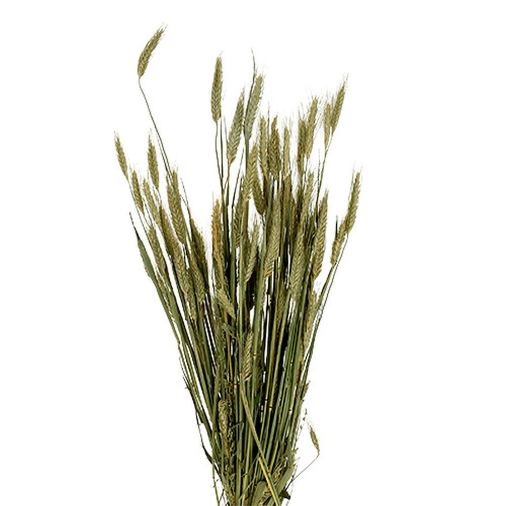 Trockenblume Getreide Dekostrauß Gerste für rustikale Tischdekoration, Viana, Höhe 8 cm