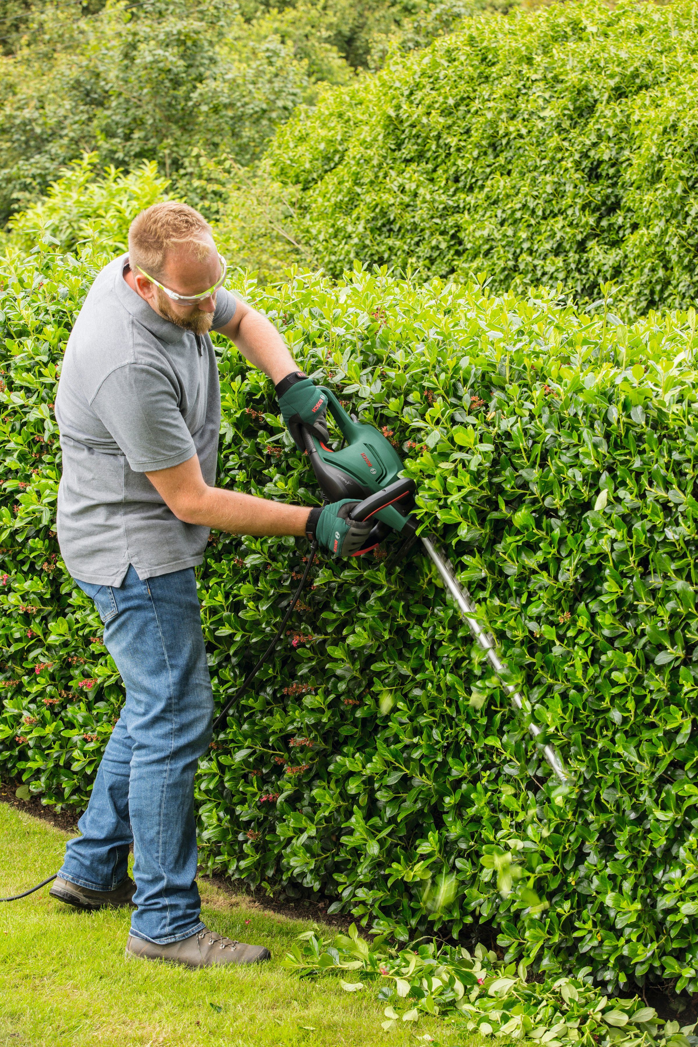 Thumbnail - Bosch Home & Garden Elektro-Heckenschere UniversalHedgeCut 50