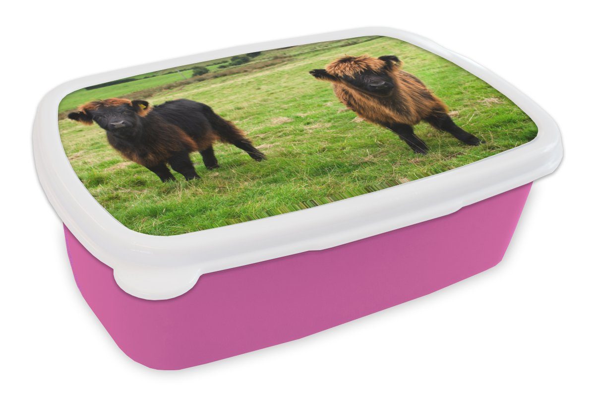 MuchoWow Lunchbox Schottische Highlander - Gras - Kühe, Kunststoff, (2-tlg), Brotbox für Erwachsene, Brotdose Kinder, Snackbox, Mädchen, Kunststoff rosa
