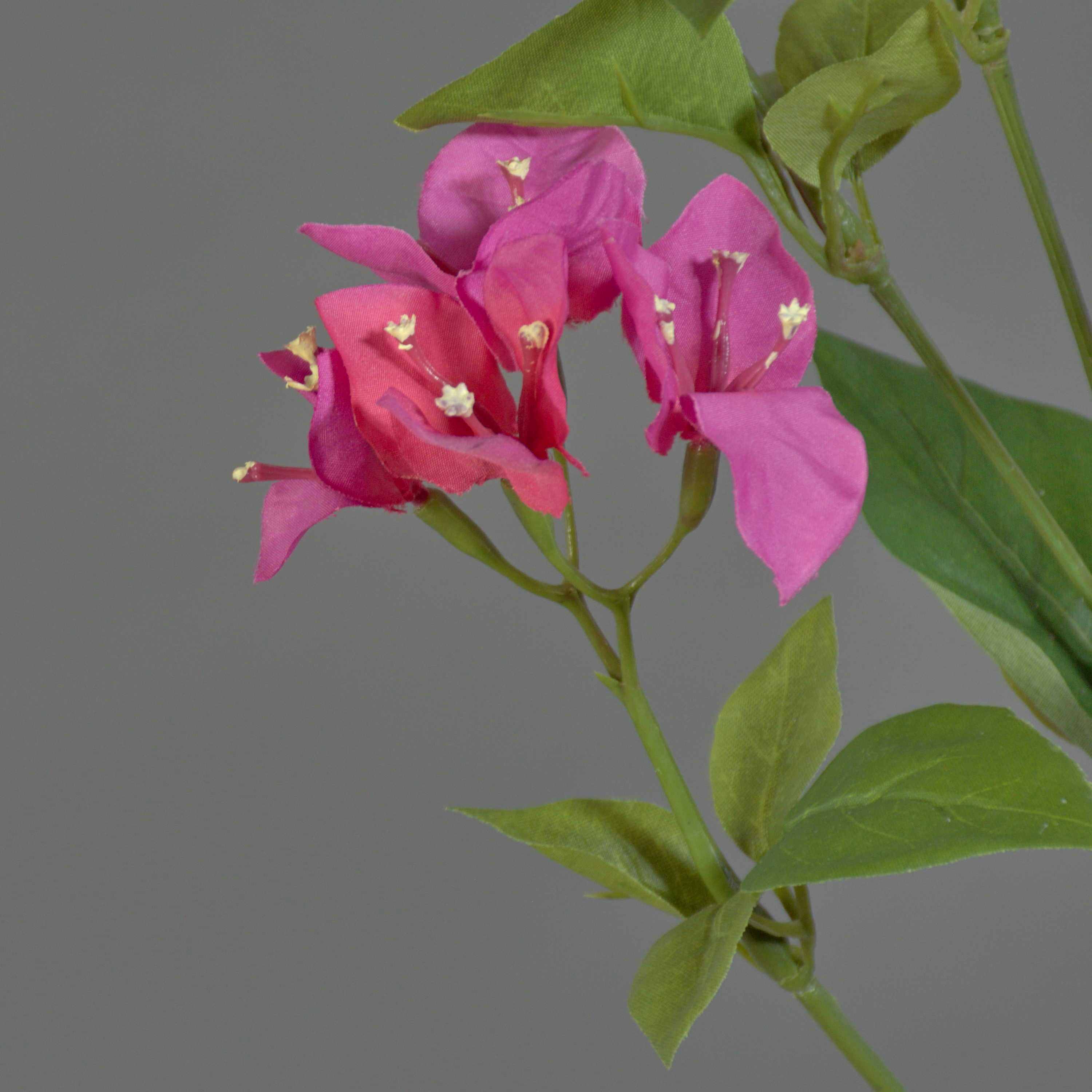 Kunstzweig Deko Zweig Bougainvillea NAJEM mit Blüten, pink, 80cm Bougainvillea, artplants, Höhe 80.0 cm